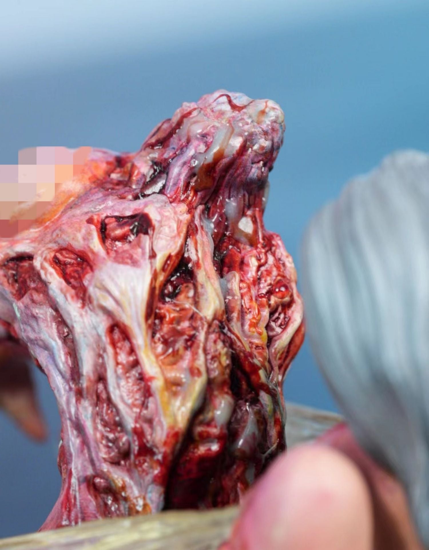 1/6 Scale Parasitized Fairy Model Kit