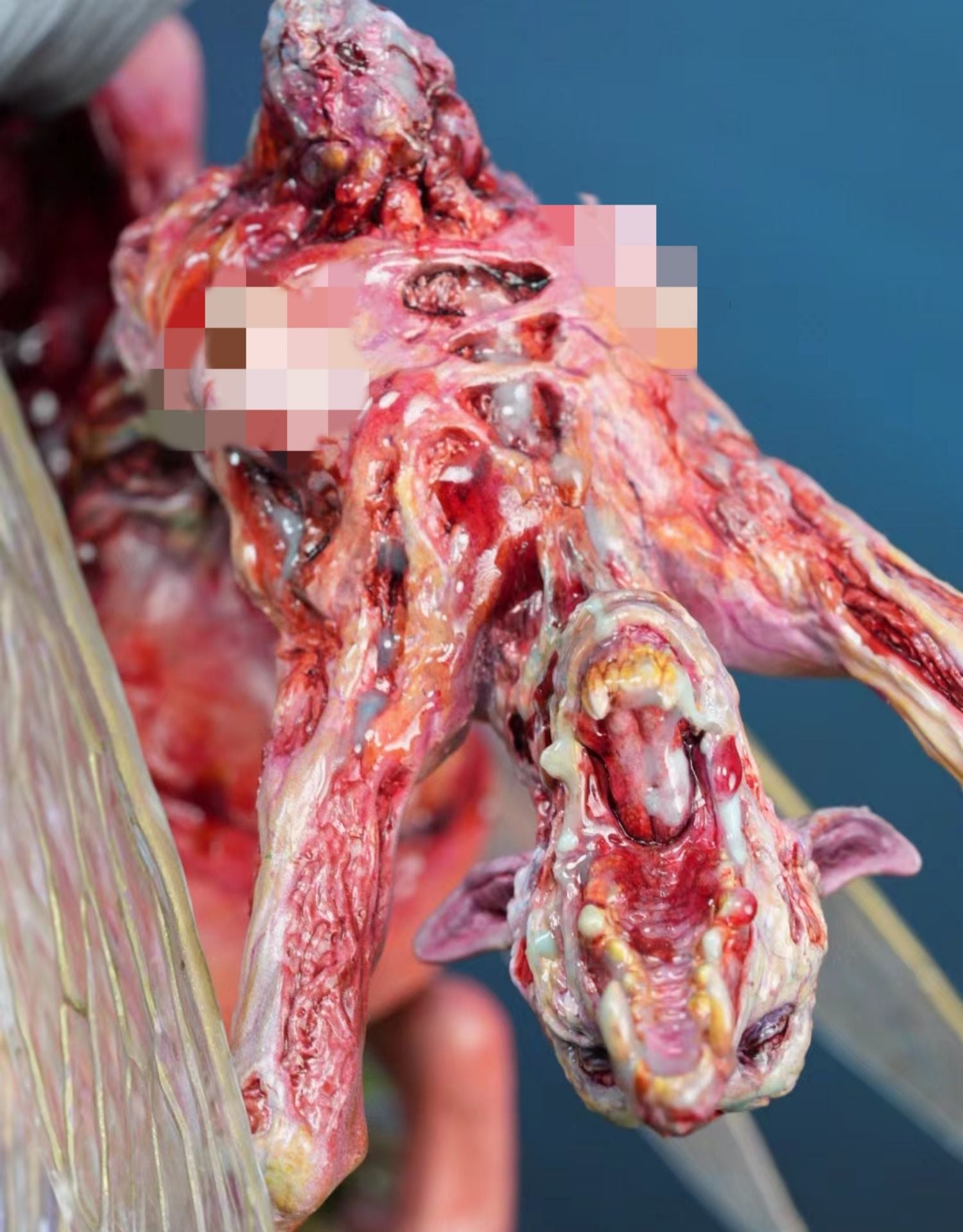 1/6 Scale Parasitized Fairy Model Kit