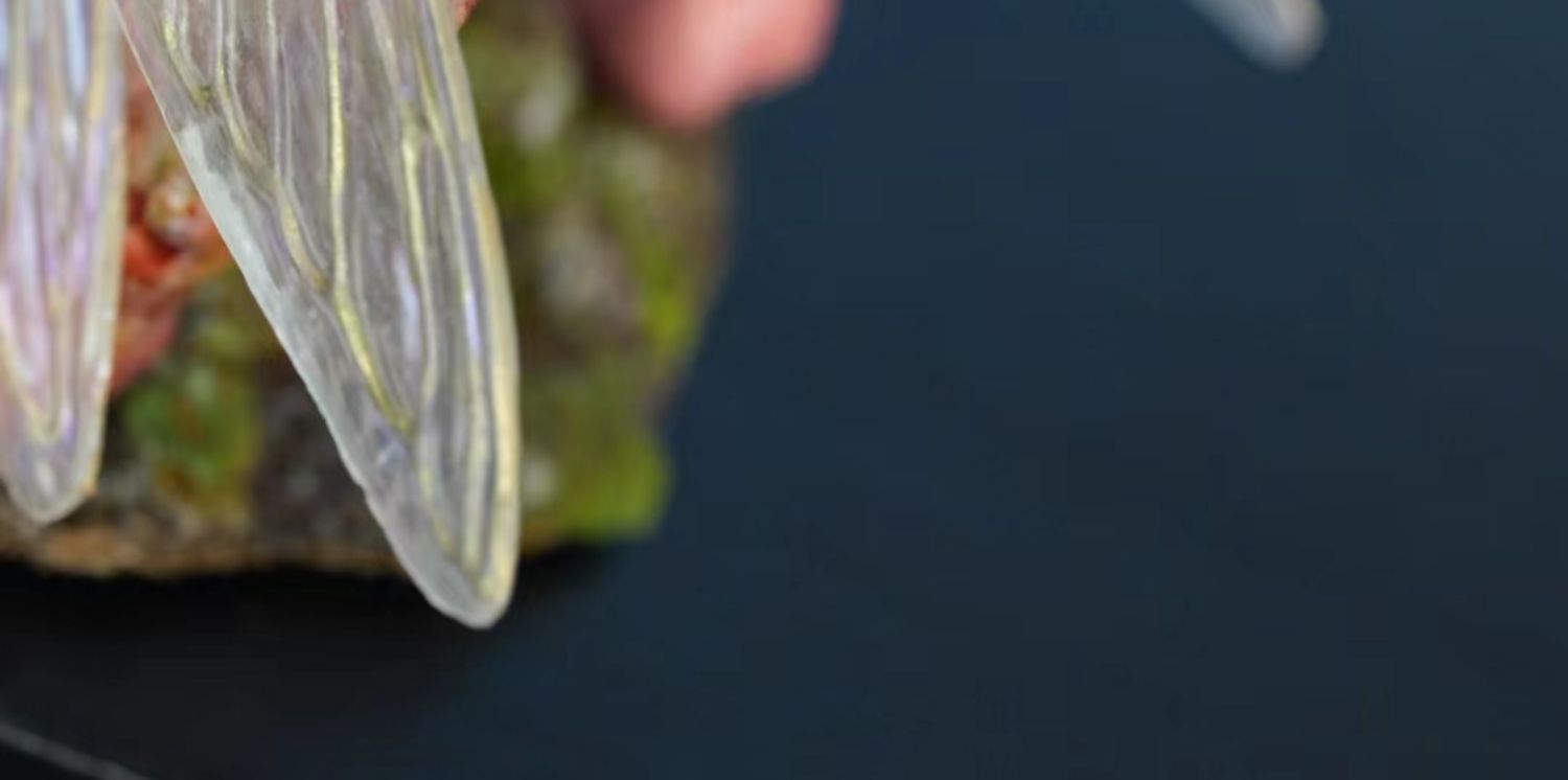 1/6 Scale Parasitized Fairy Model Kit