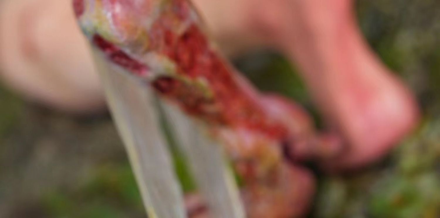 1/6 Scale Parasitized Fairy Model Kit