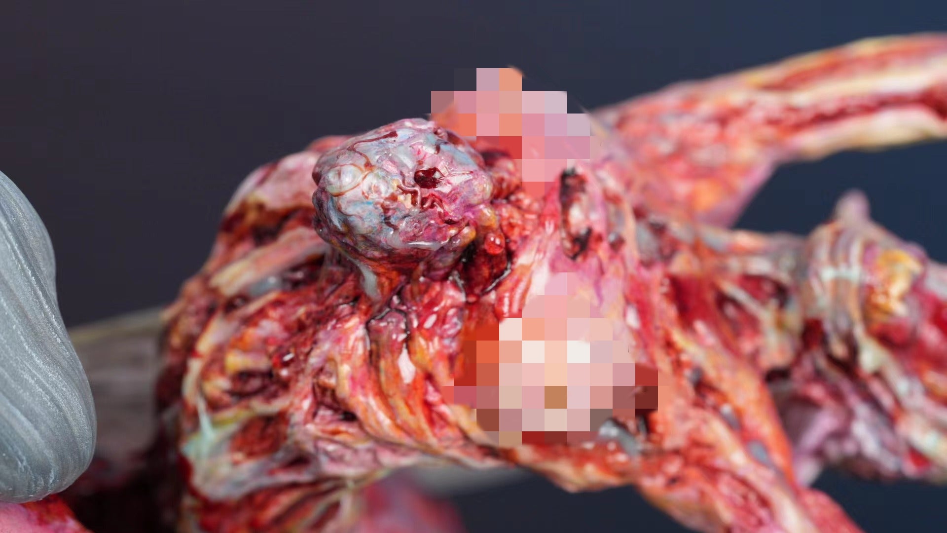 1/6 Scale Parasitized Fairy Model Kit