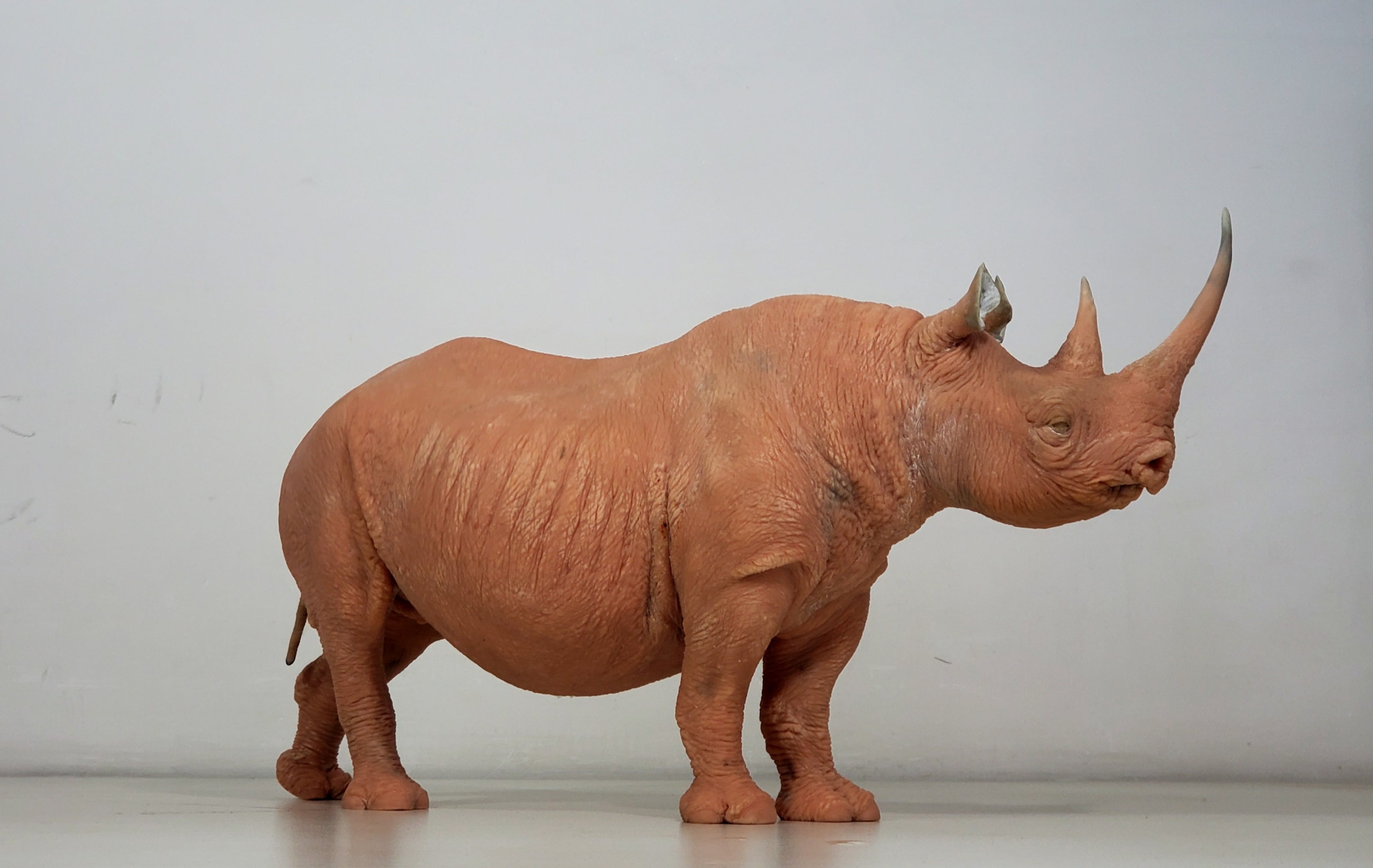 tunan Black Rhino Model