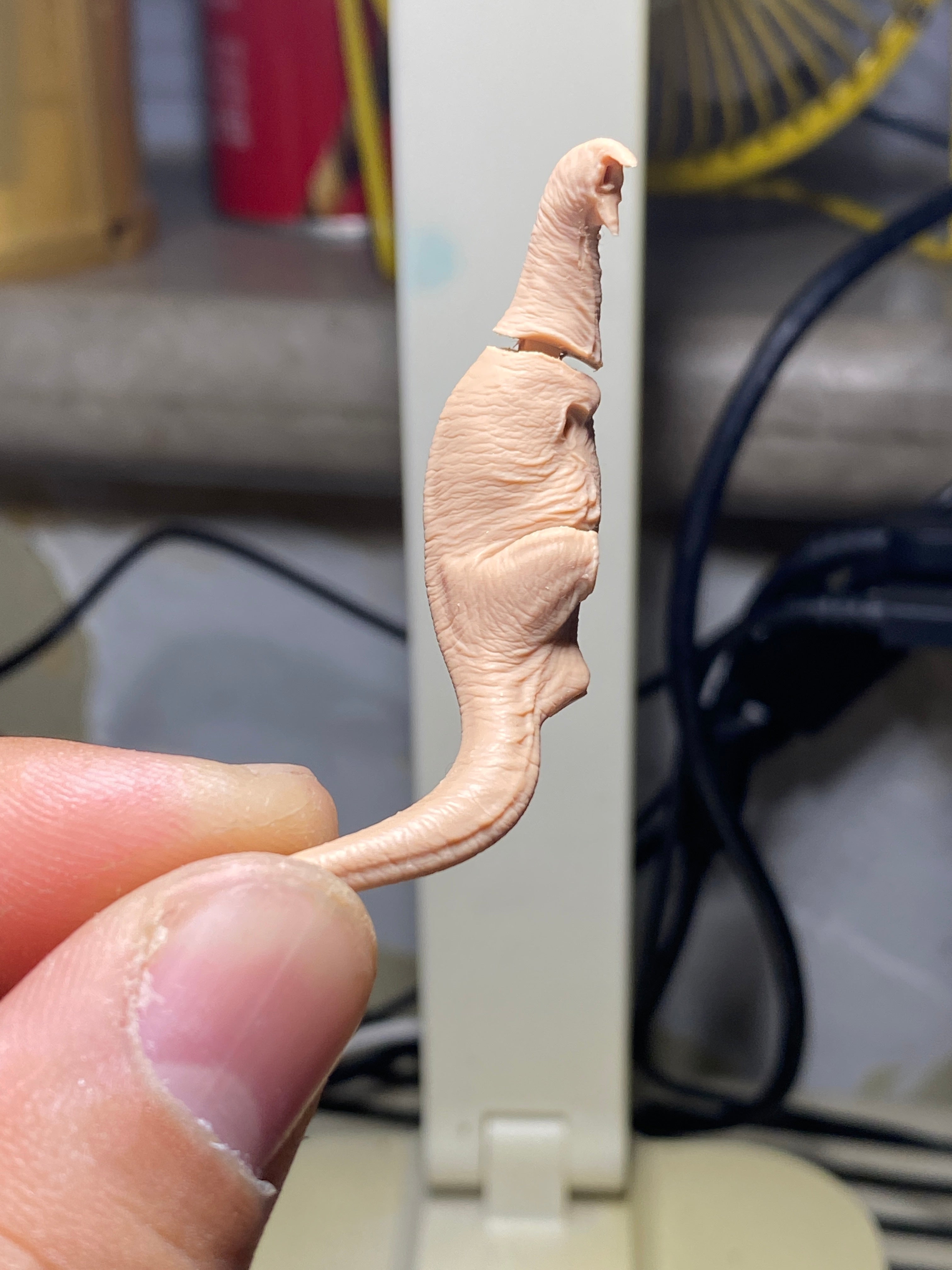 Rapetosaurus krausei Masiakasaurus Model Kit