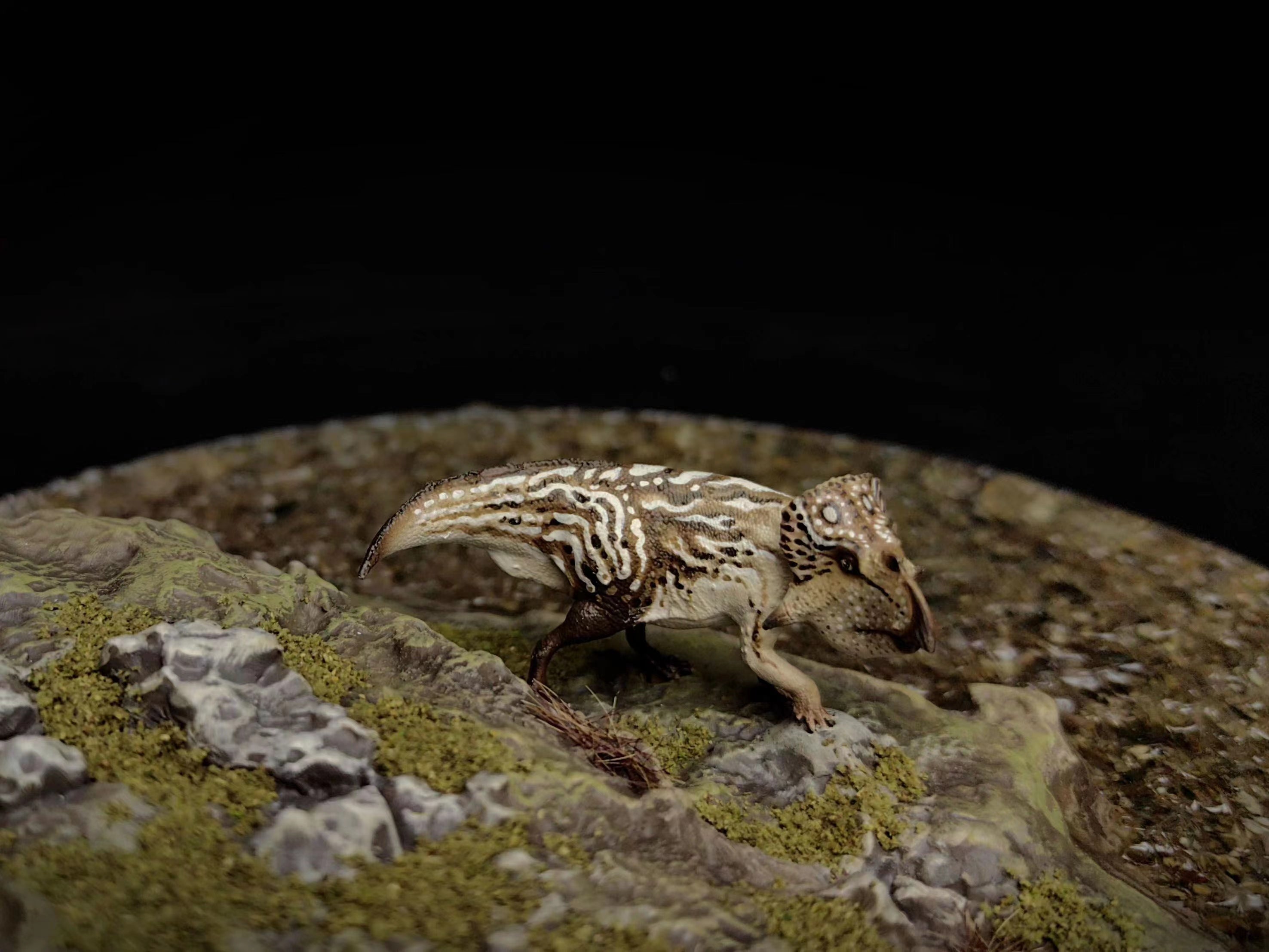 XINYAN Studio Ankylosaurus magniventris Leptoceratops Scene Model