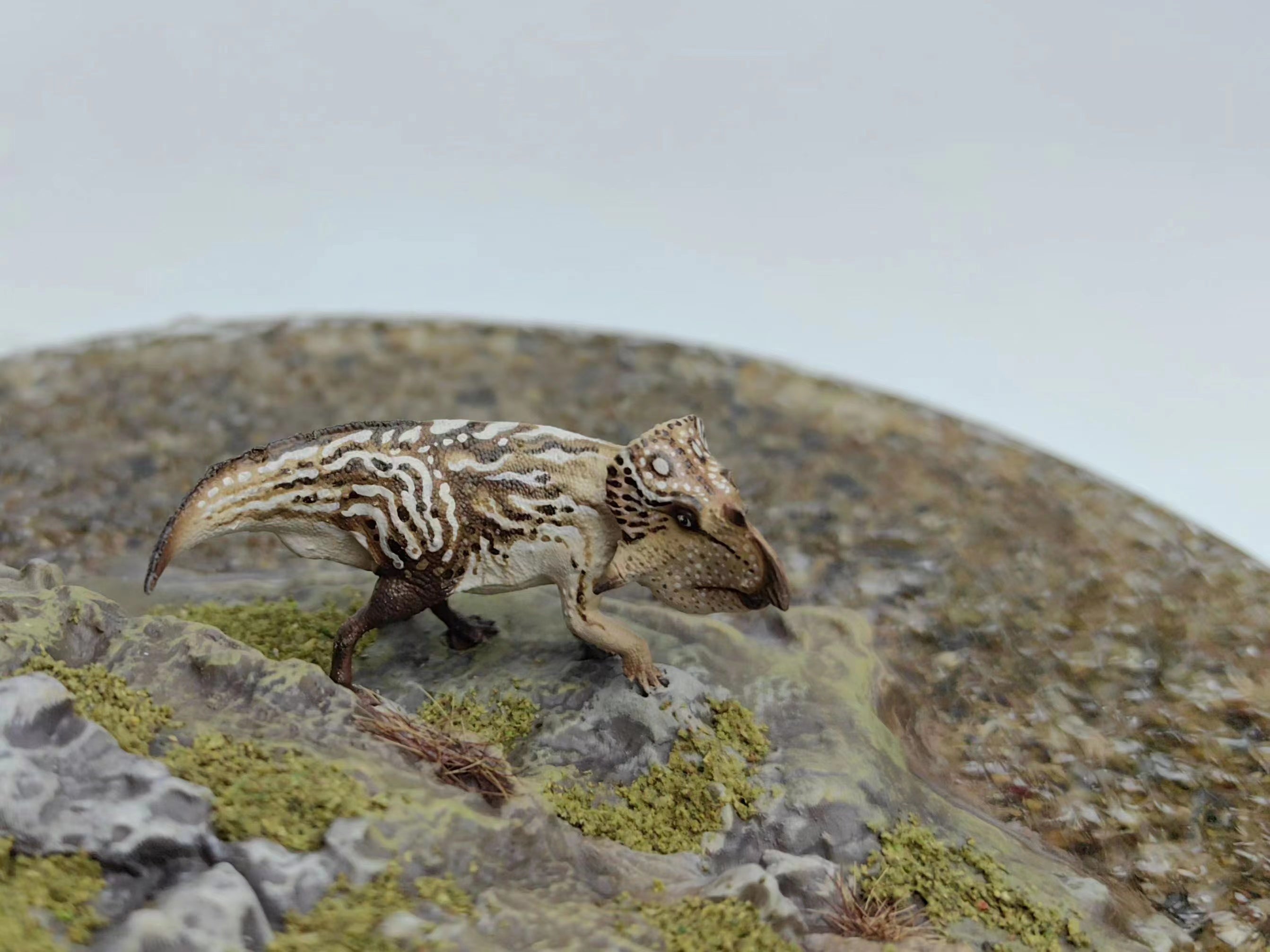 XINYAN Studio Ankylosaurus magniventris Leptoceratops Scene Model