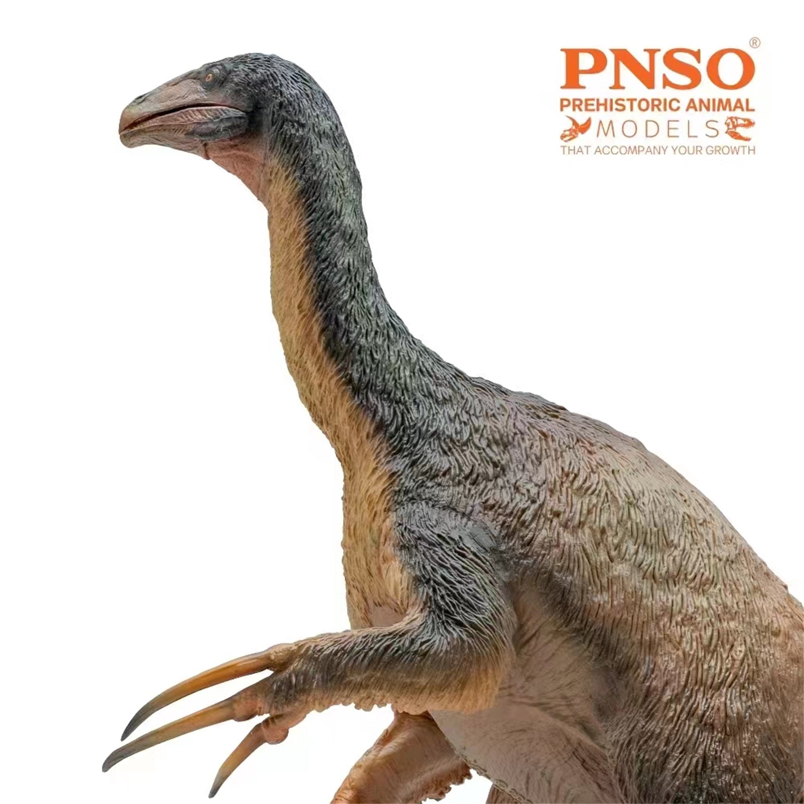 PNSO Therizinosaurus Qingge Model