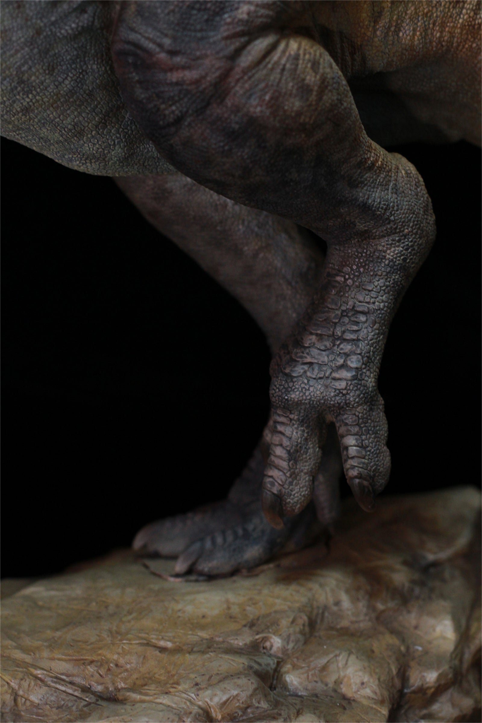 1:15 Scale Tyrannosaurus Rex Scene Model