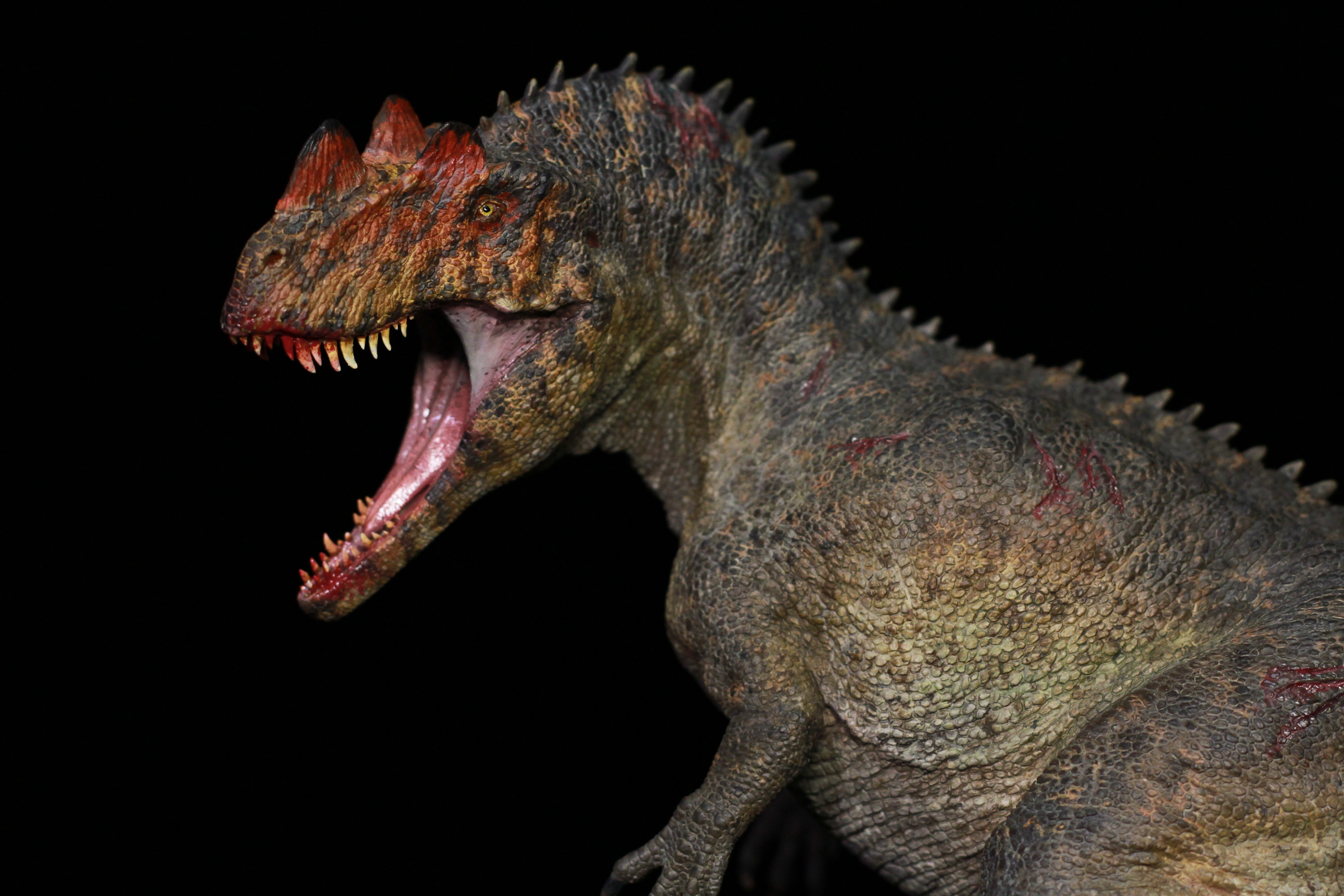 Nature&Fate Studio 1:15 Scale Ceratosaurus Allosaurus Corpse Scene Model Kit
