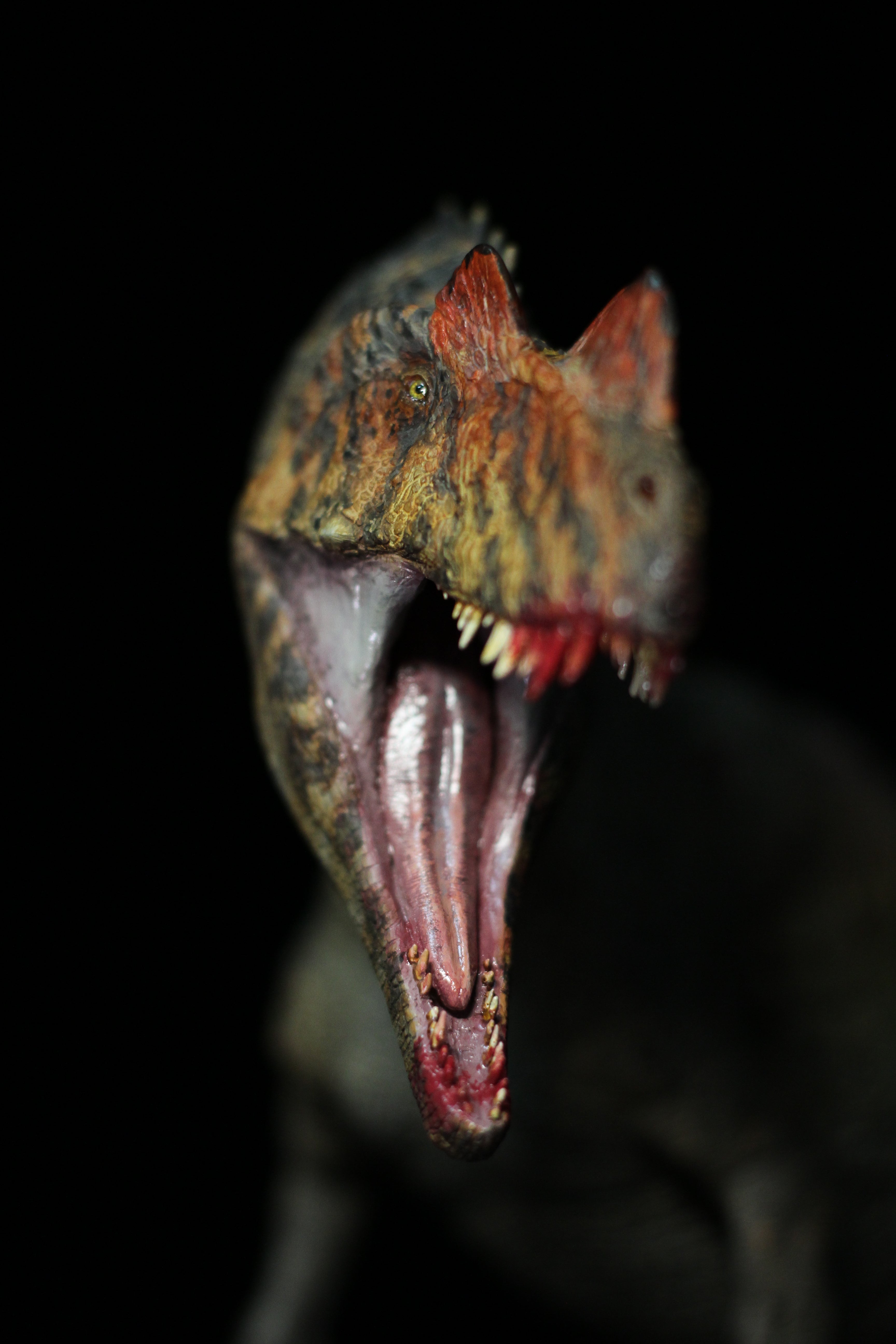 Nature&Fate Studio 1:15 Scale Ceratosaurus Allosaurus Corpse Scene Model Kit
