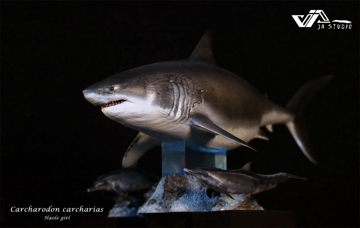 JA Studio Great White Shark Hoole Girl Statue