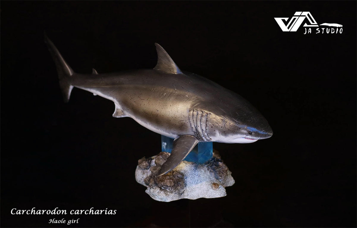 JA Studio Great White Shark Hoole Girl Statue