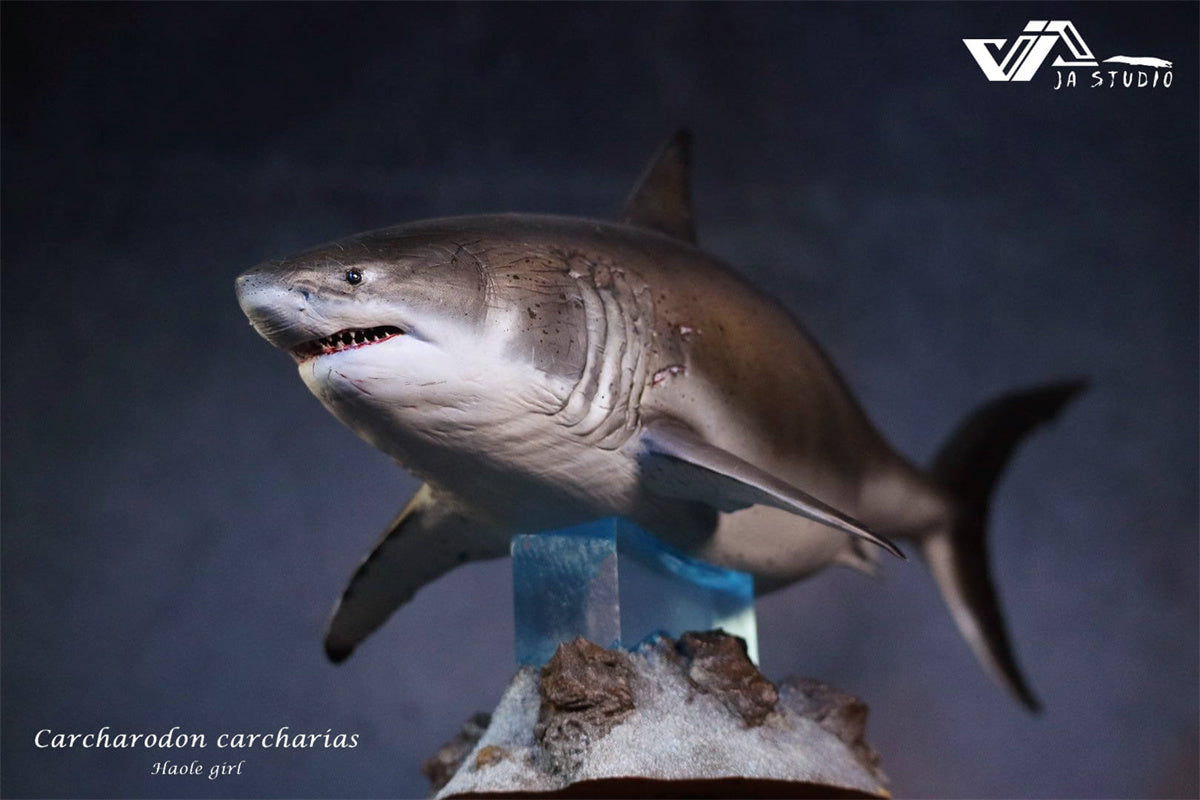 JA Studio Great White Shark Hoole Girl Statue