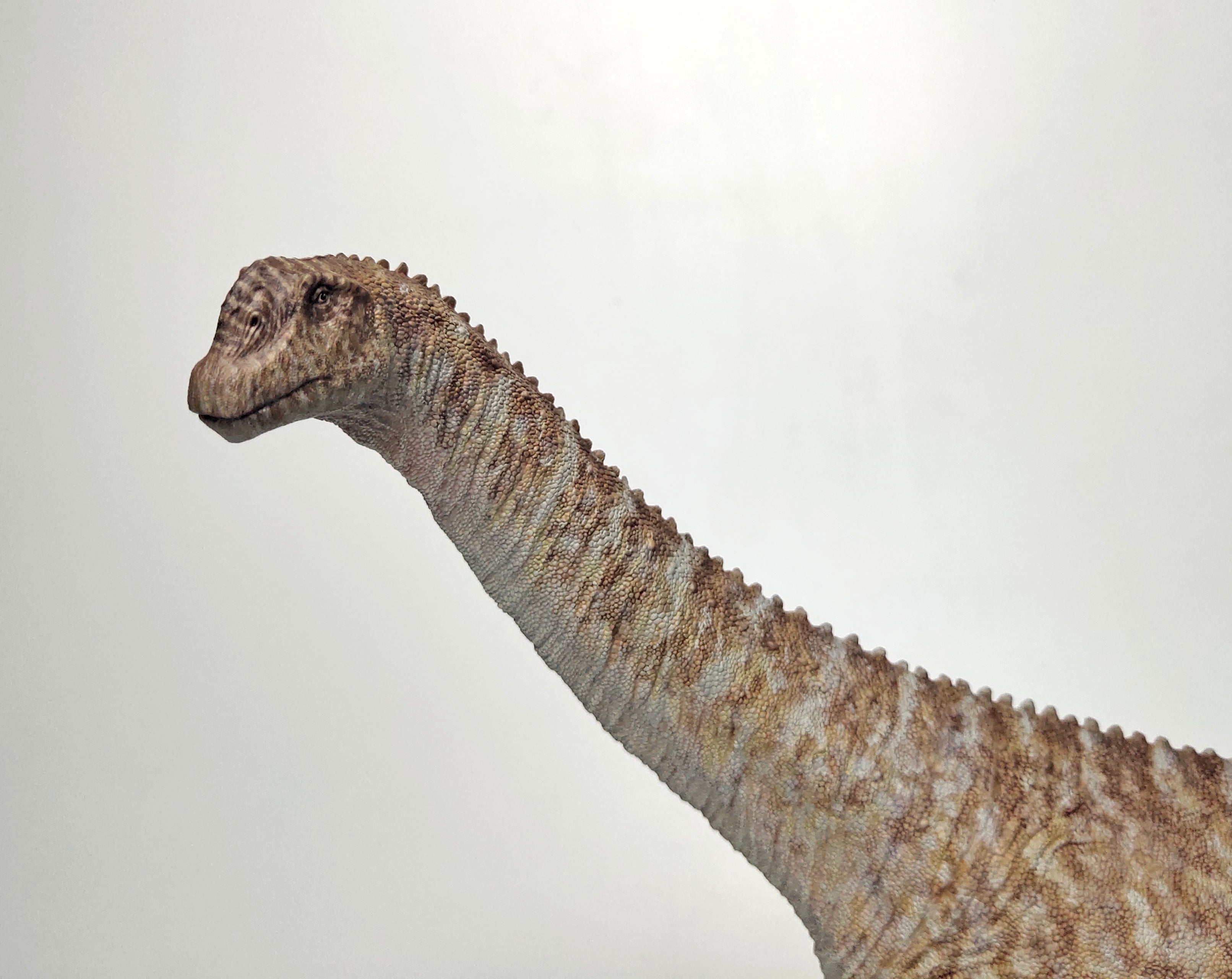 LINGHU ART STUDIO 1:35 Scale Camarasaurus father and son Model Kit