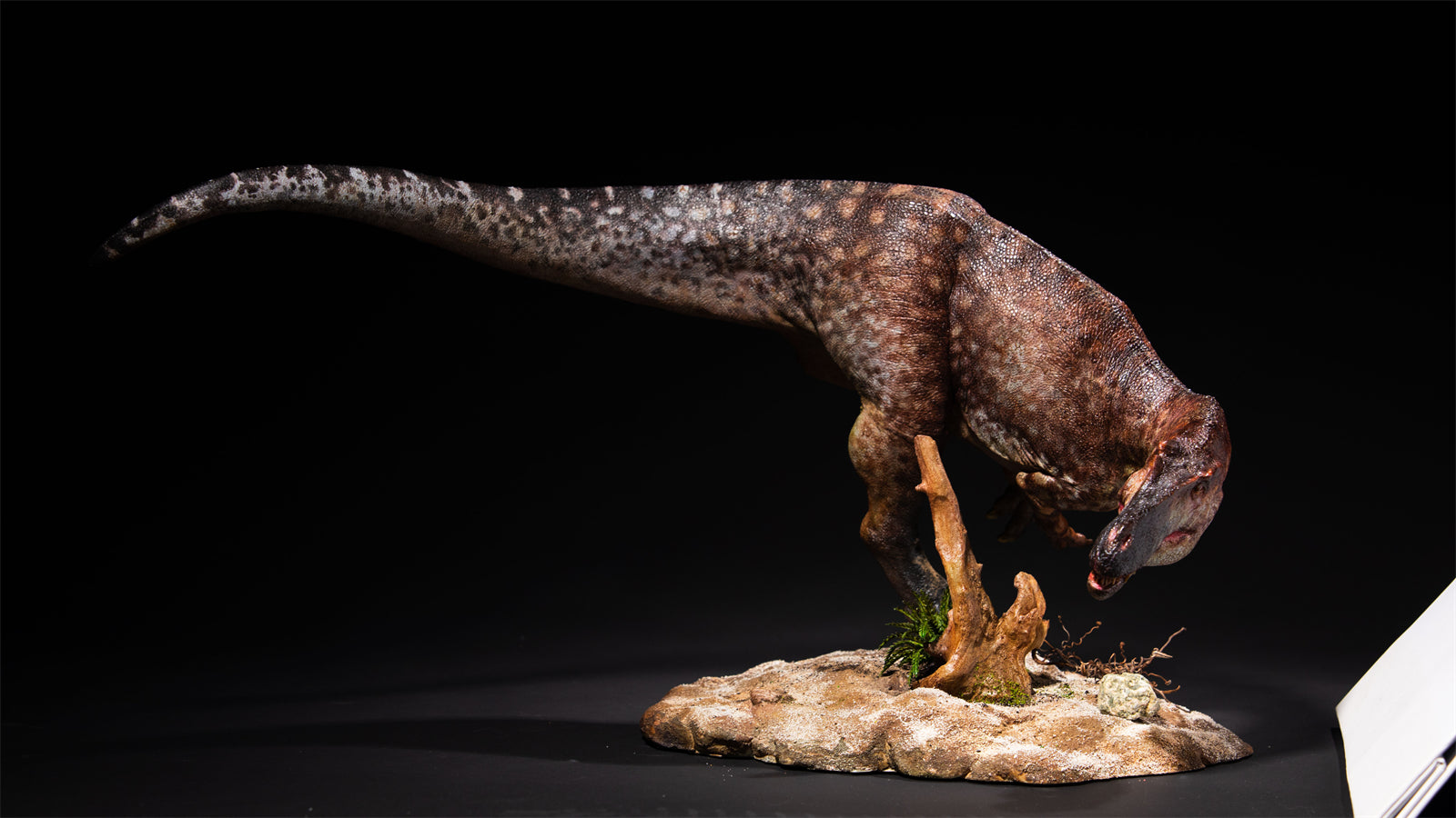 DM Studio 1:15 Scale Torvosaurus Allosaurus Cub Scene Kit