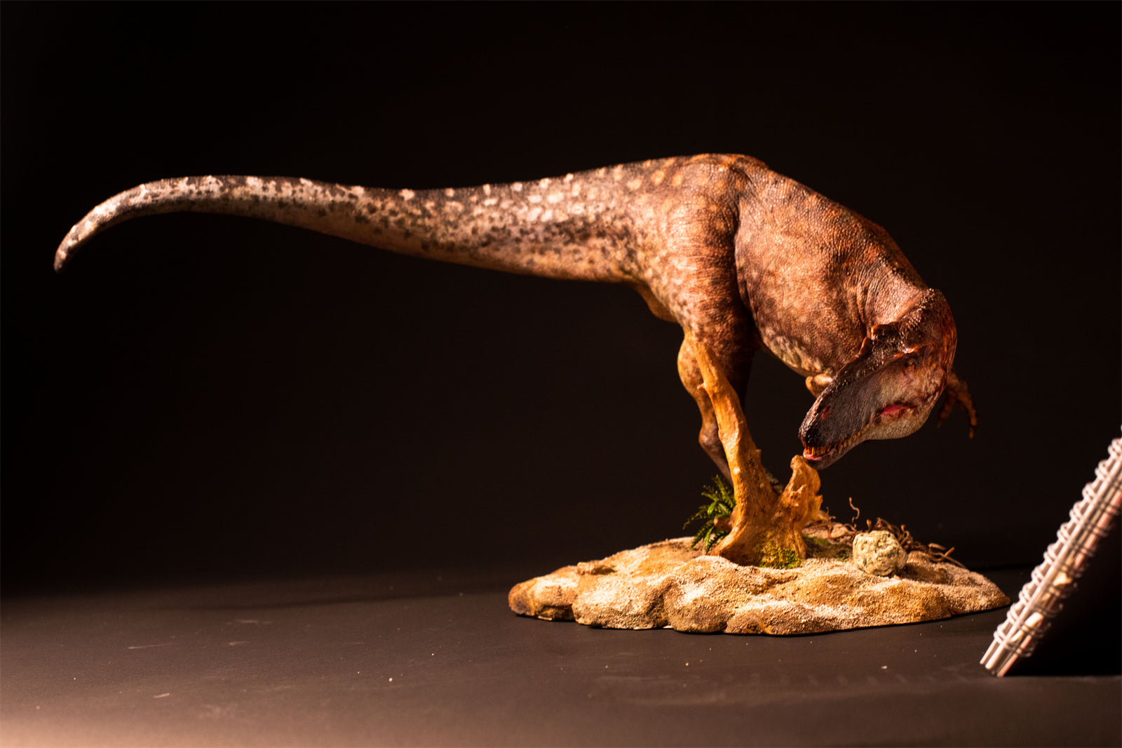 DM Studio 1:15 Scale Torvosaurus Allosaurus Cub Scene Kit