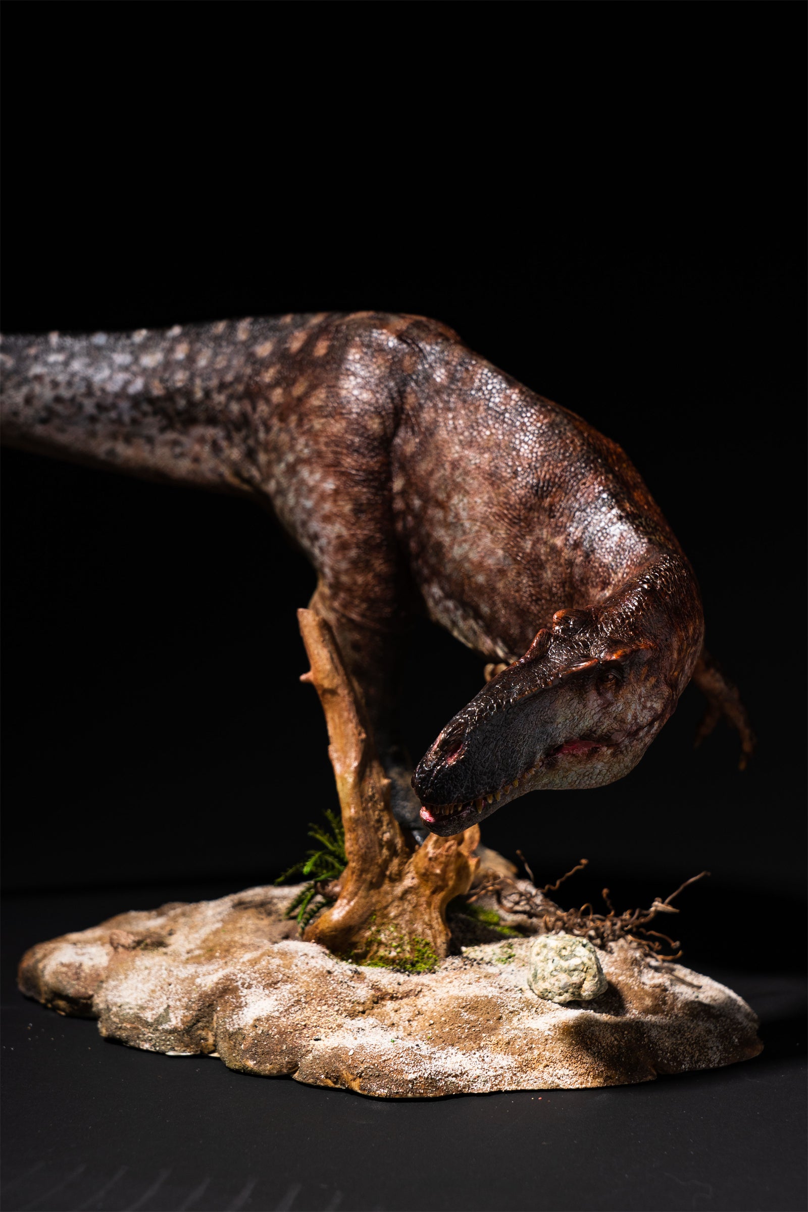 DM Studio 1:15 Scale Torvosaurus Allosaurus Cub Scene Kit