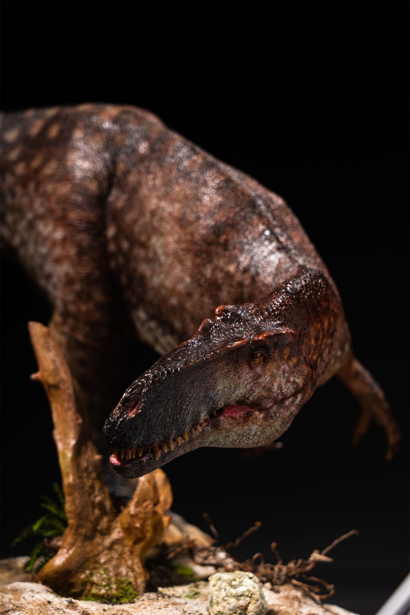 DM Studio 1:15 Scale Torvosaurus Allosaurus Cub Scene Kit