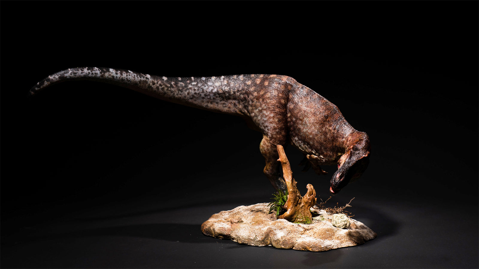 DM Studio 1:15 Scale Torvosaurus Allosaurus Cub Scene Kit