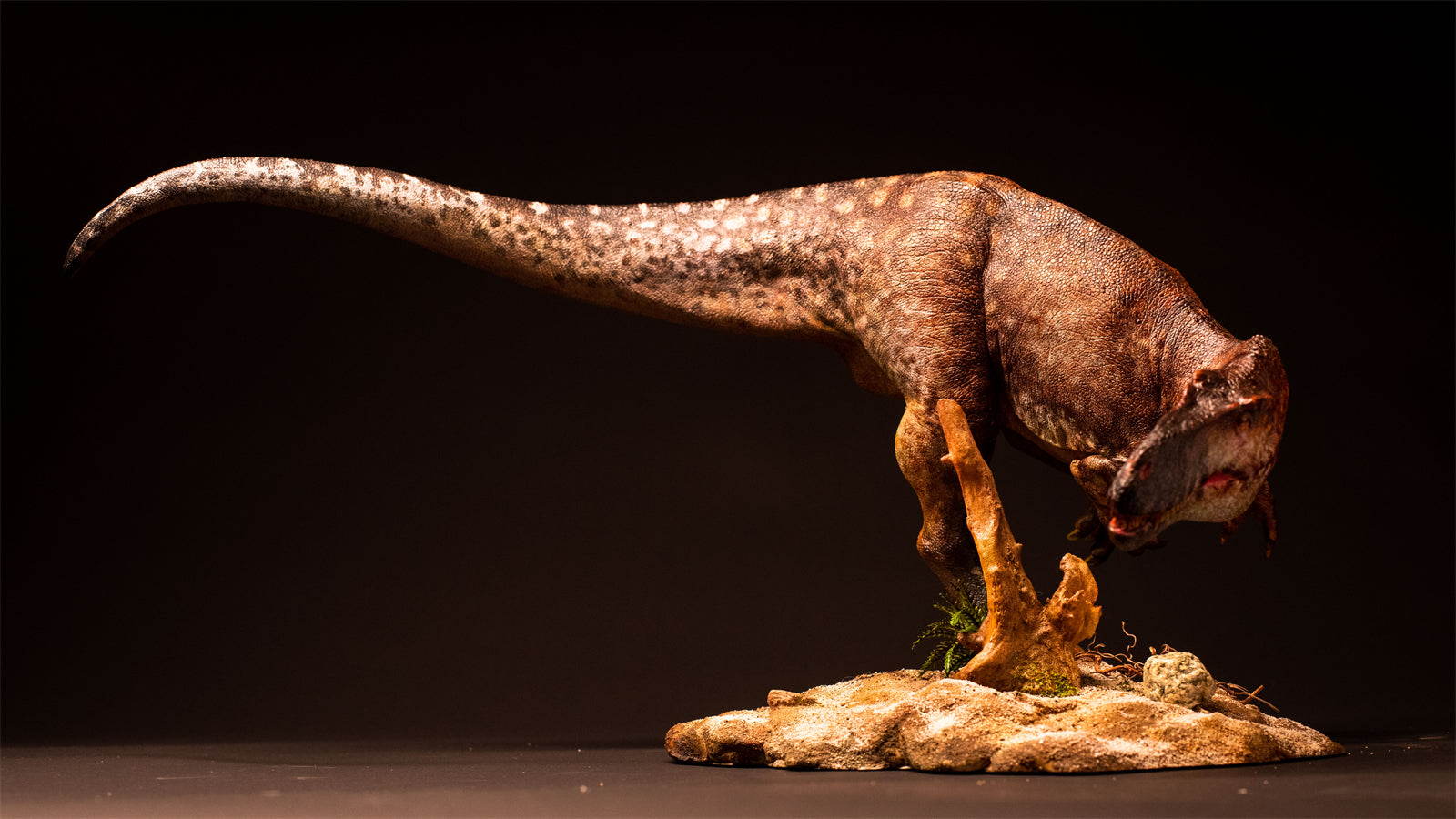DM Studio 1:15 Scale Torvosaurus Allosaurus Cub Scene Kit
