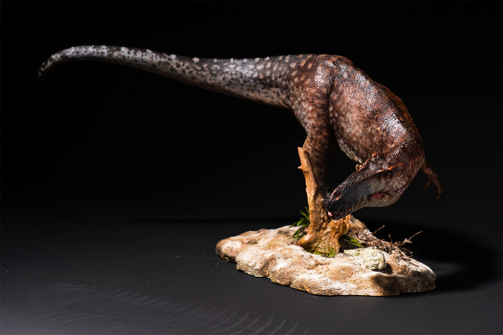 DM Studio 1:15 Scale Torvosaurus Allosaurus Cub Scene Kit