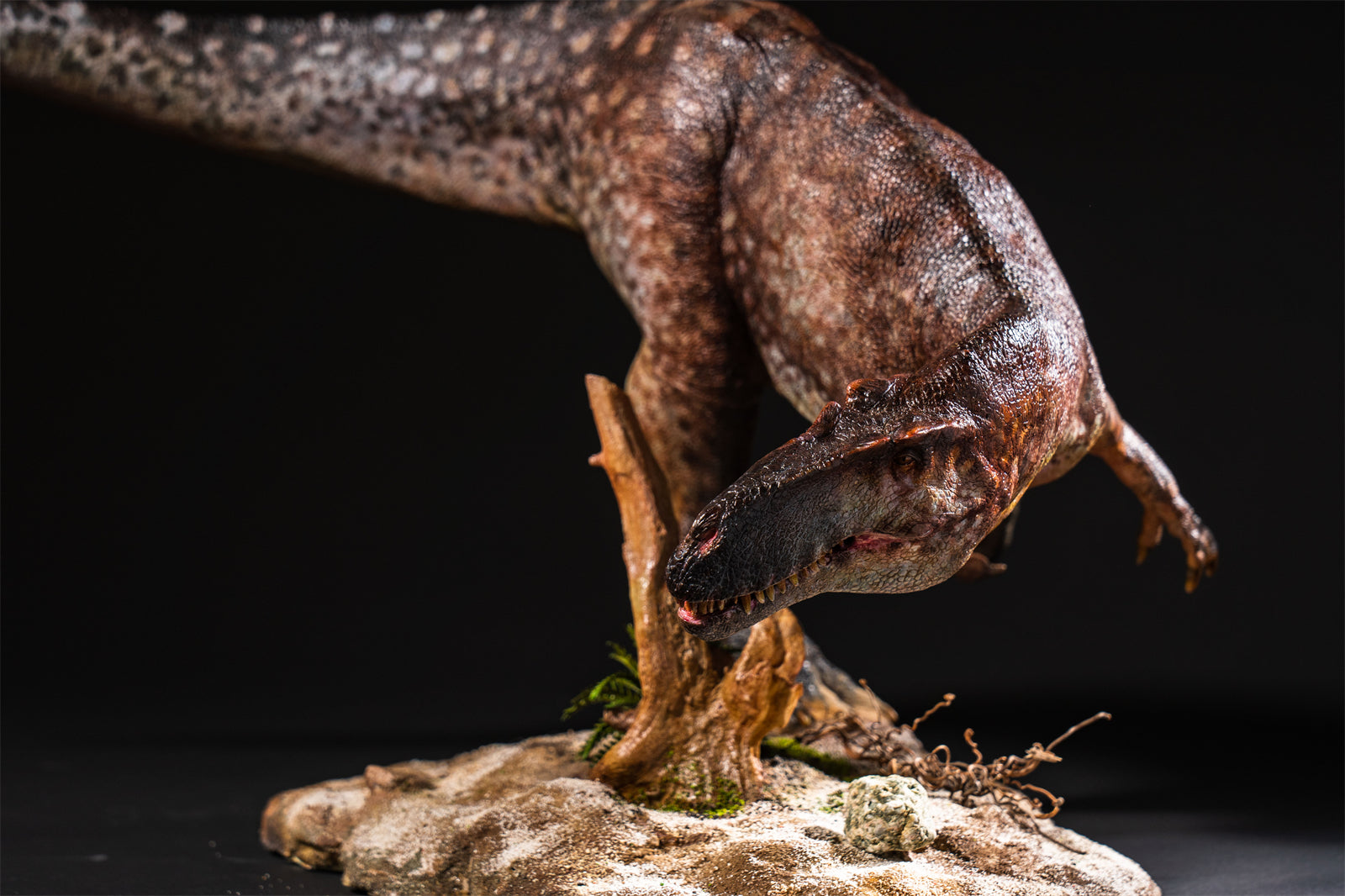 DM Studio 1:15 Scale Torvosaurus Allosaurus Cub Scene Kit