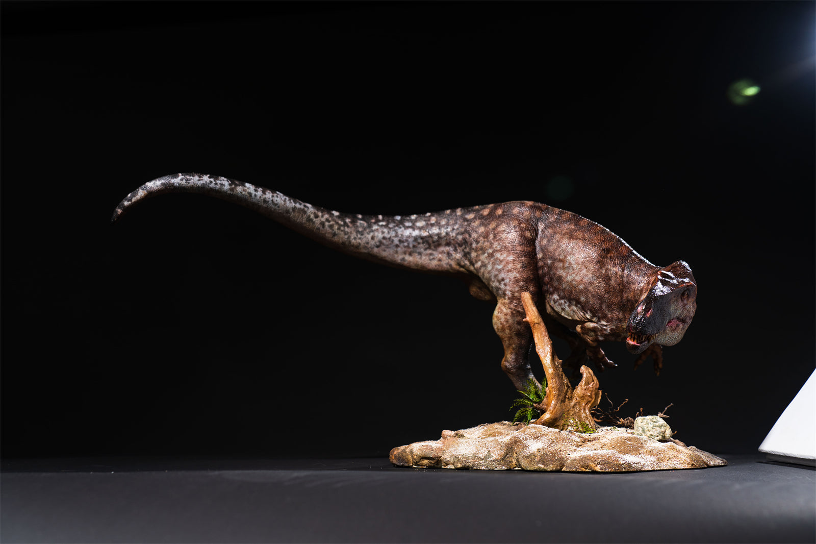 DM Studio 1:15 Scale Torvosaurus Allosaurus Cub Scene Kit