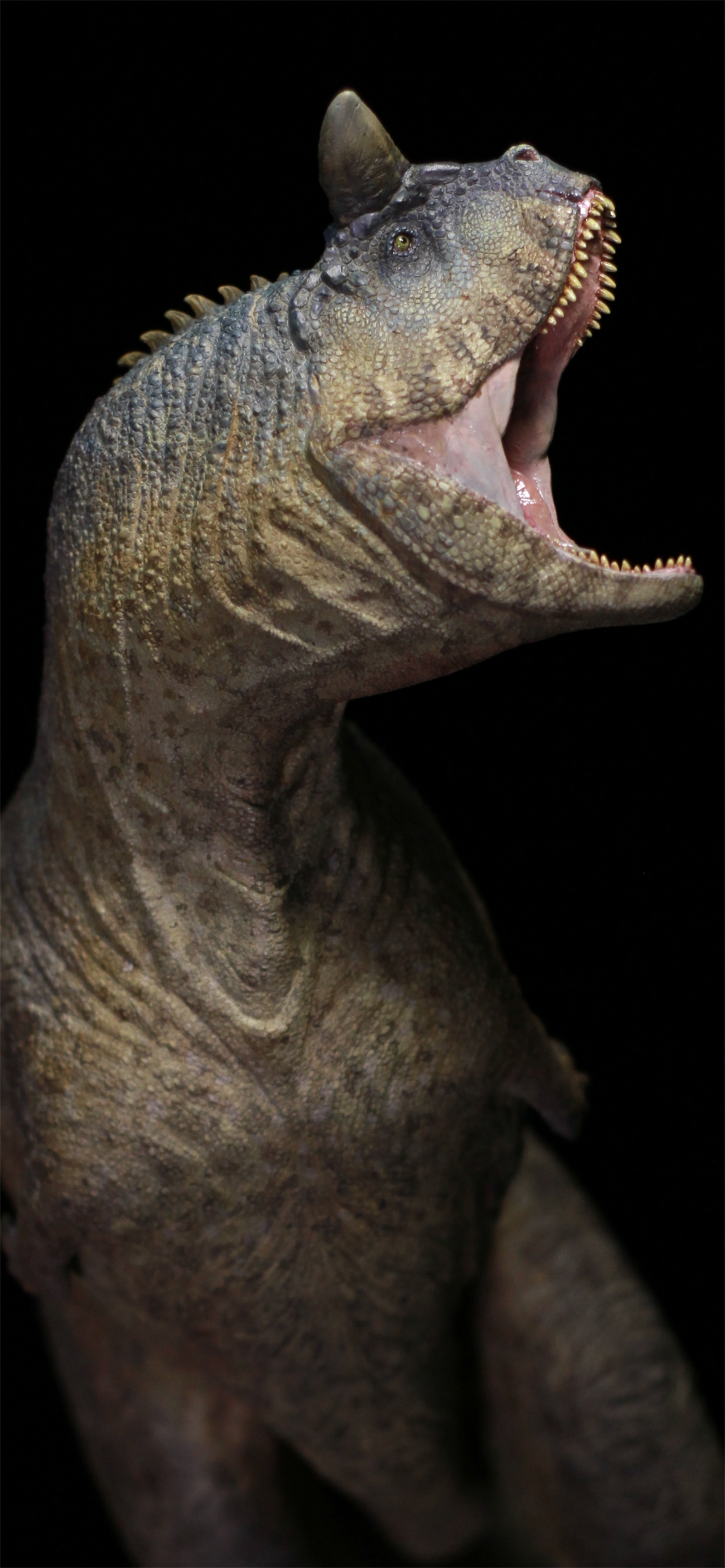 Sensen 1:15 Scale Carnotaurus Scene Statue