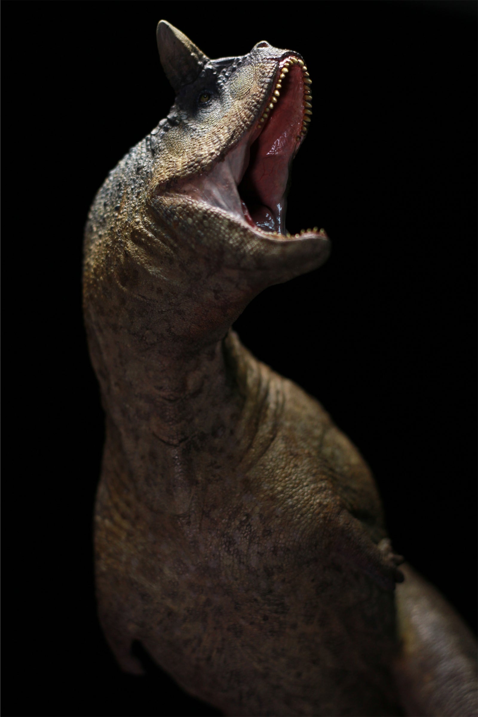 Sensen 1:15 Scale Carnotaurus Scene Statue