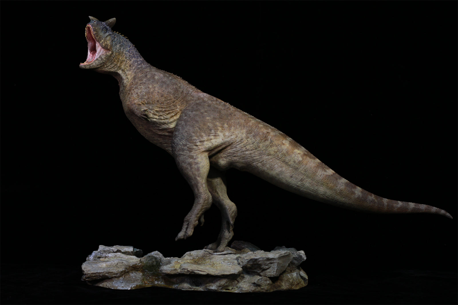 Sensen 1:15 Scale Carnotaurus Scene Statue