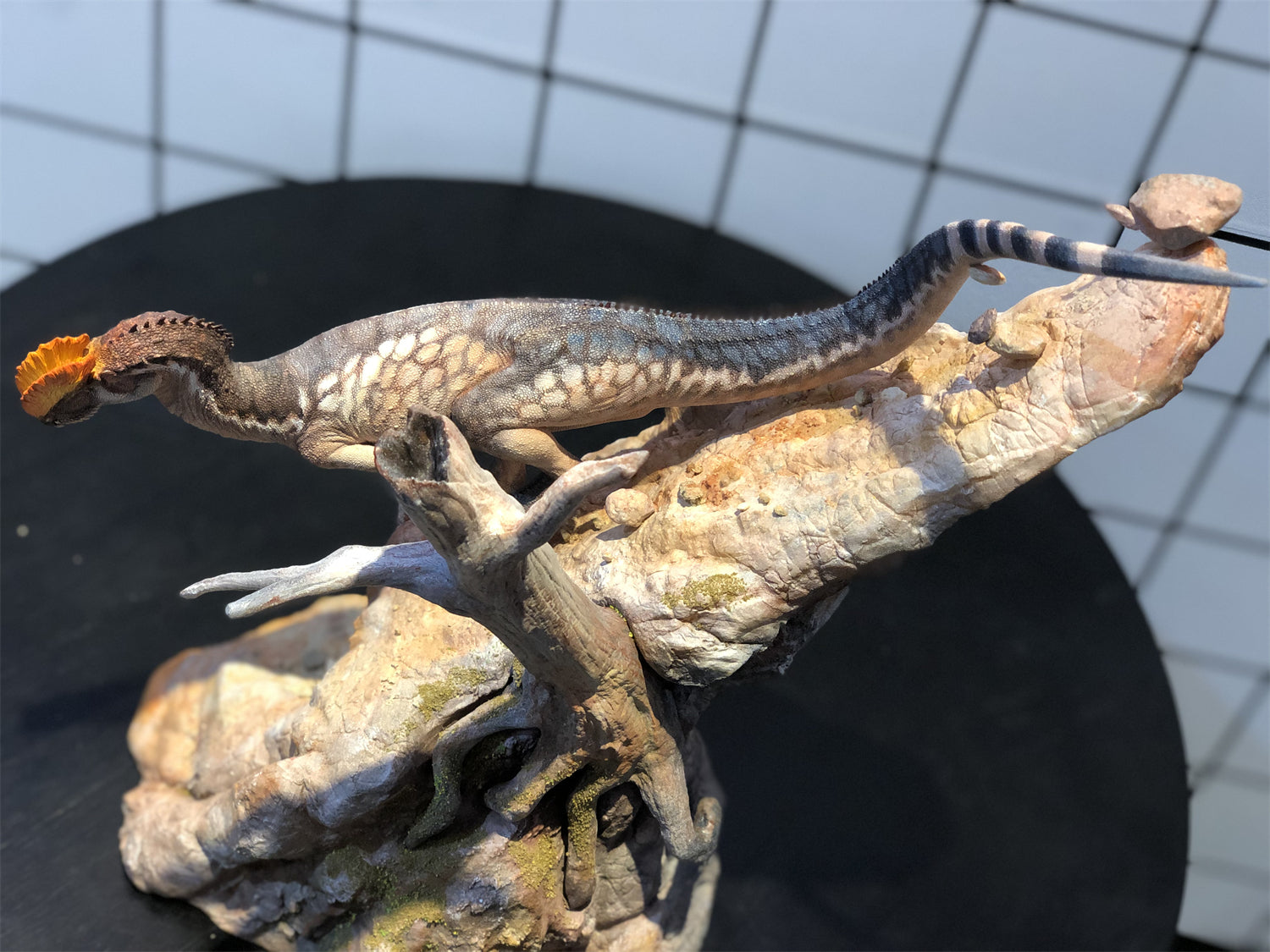 LINGHU ART STUDIO Dilophosaurus Scene Model Kit