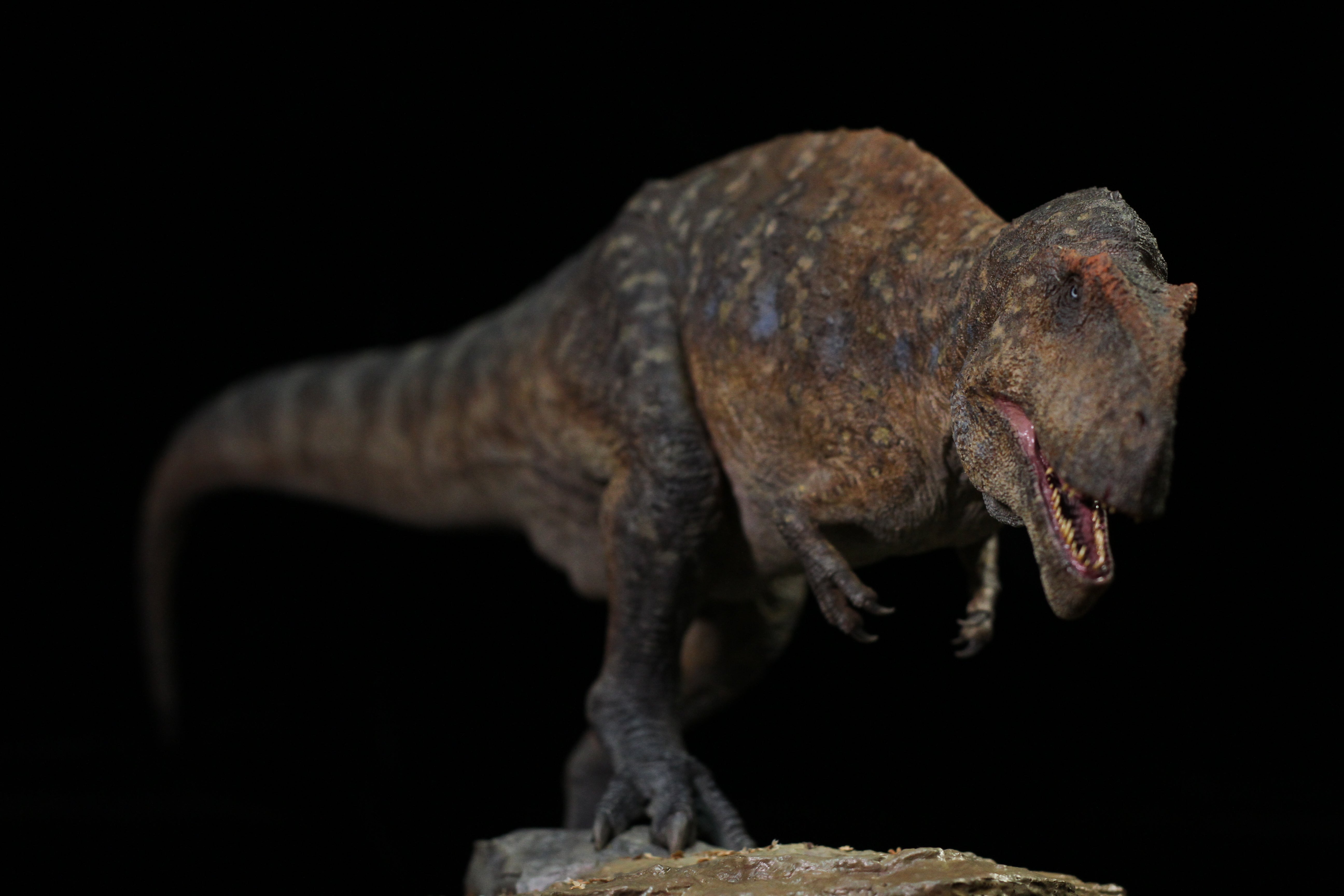 SHOWANNA 1/18 SCALE MAPUSAURUS SCENE STATUE