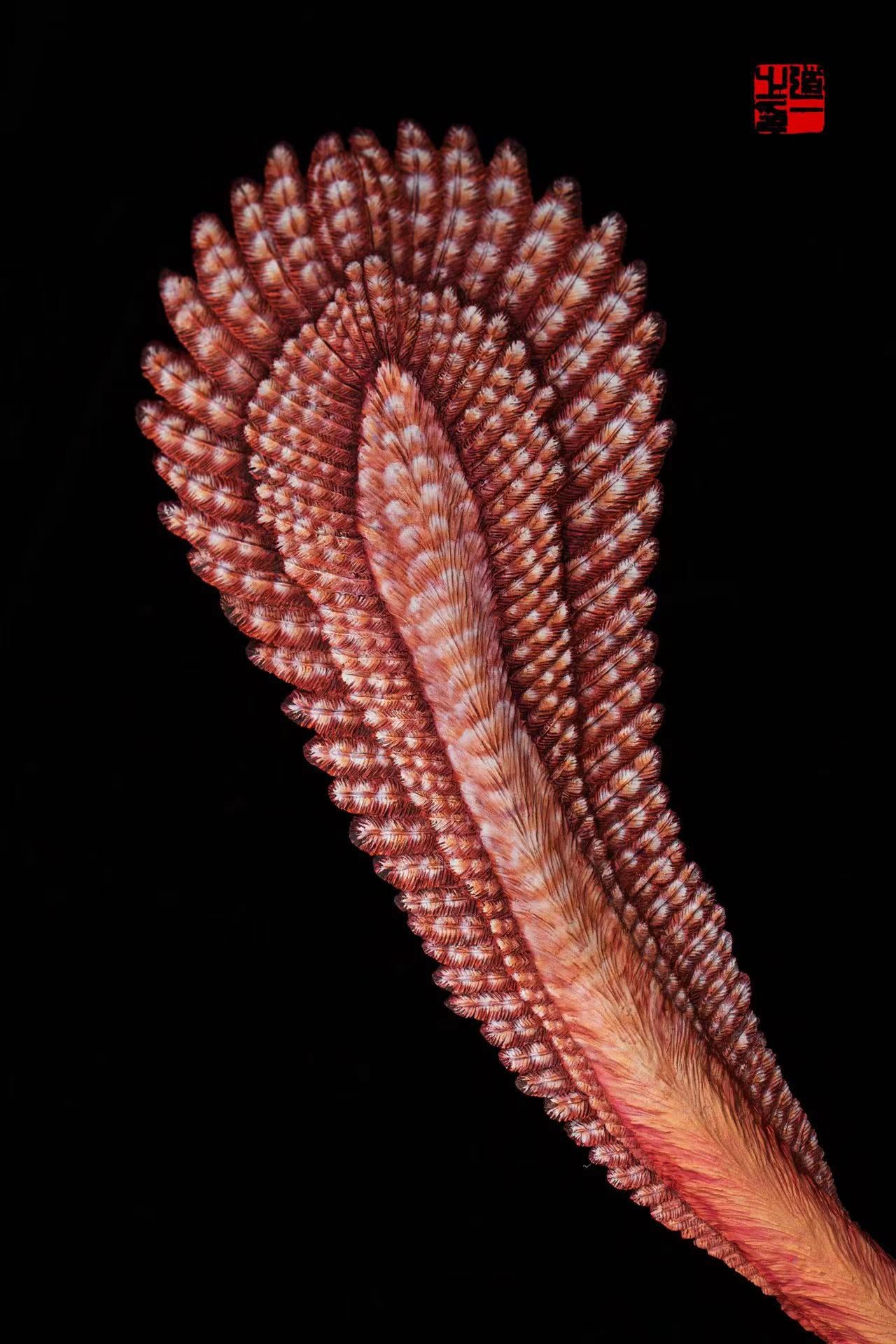 Cen DaoYi Studio 1:3 Scale Linheraptor exquisitus Ethnic Group Scene Statue Model Kit