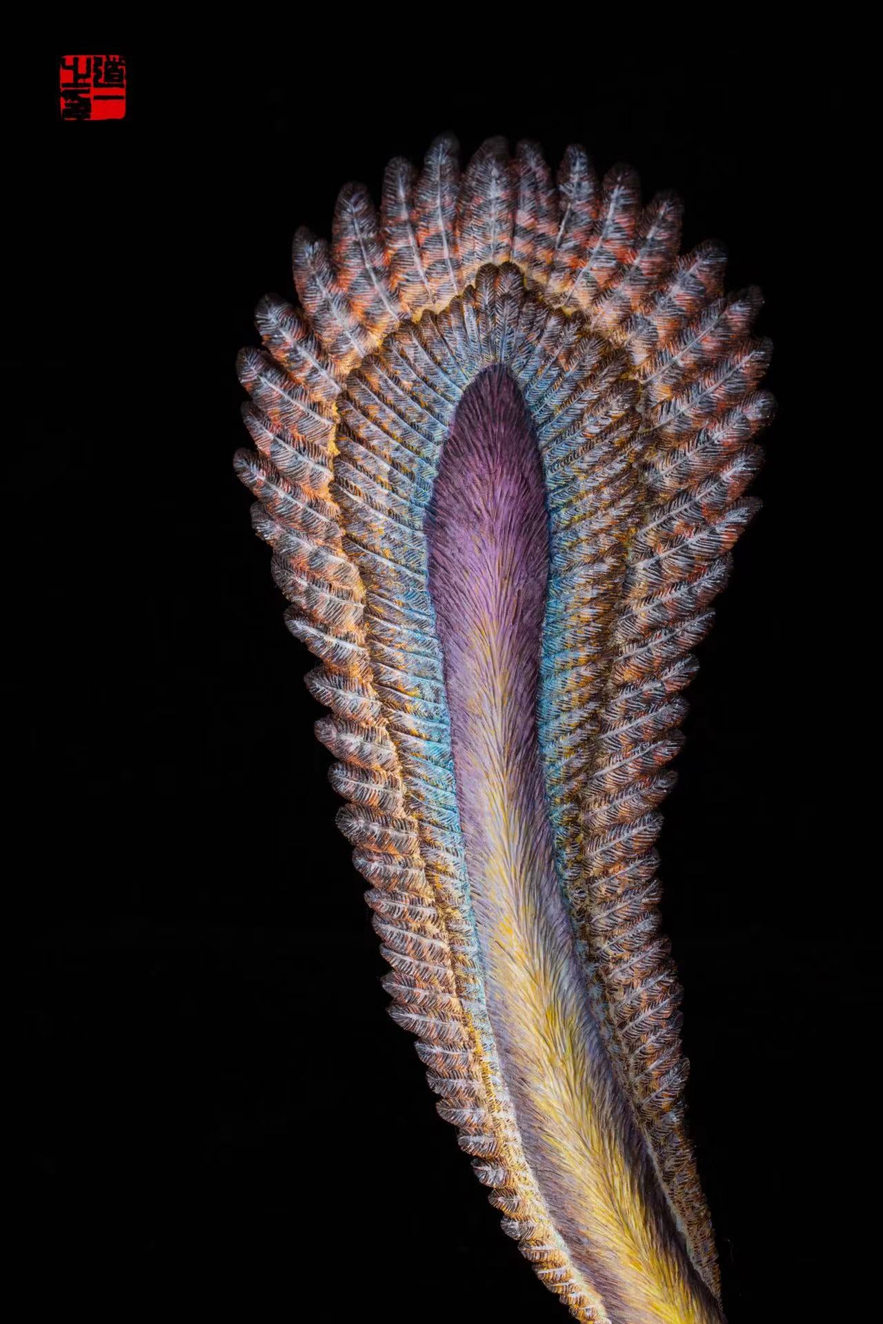 Cen DaoYi Studio 1:3 Scale Linheraptor exquisitus Ethnic Group Scene Statue Model Kit