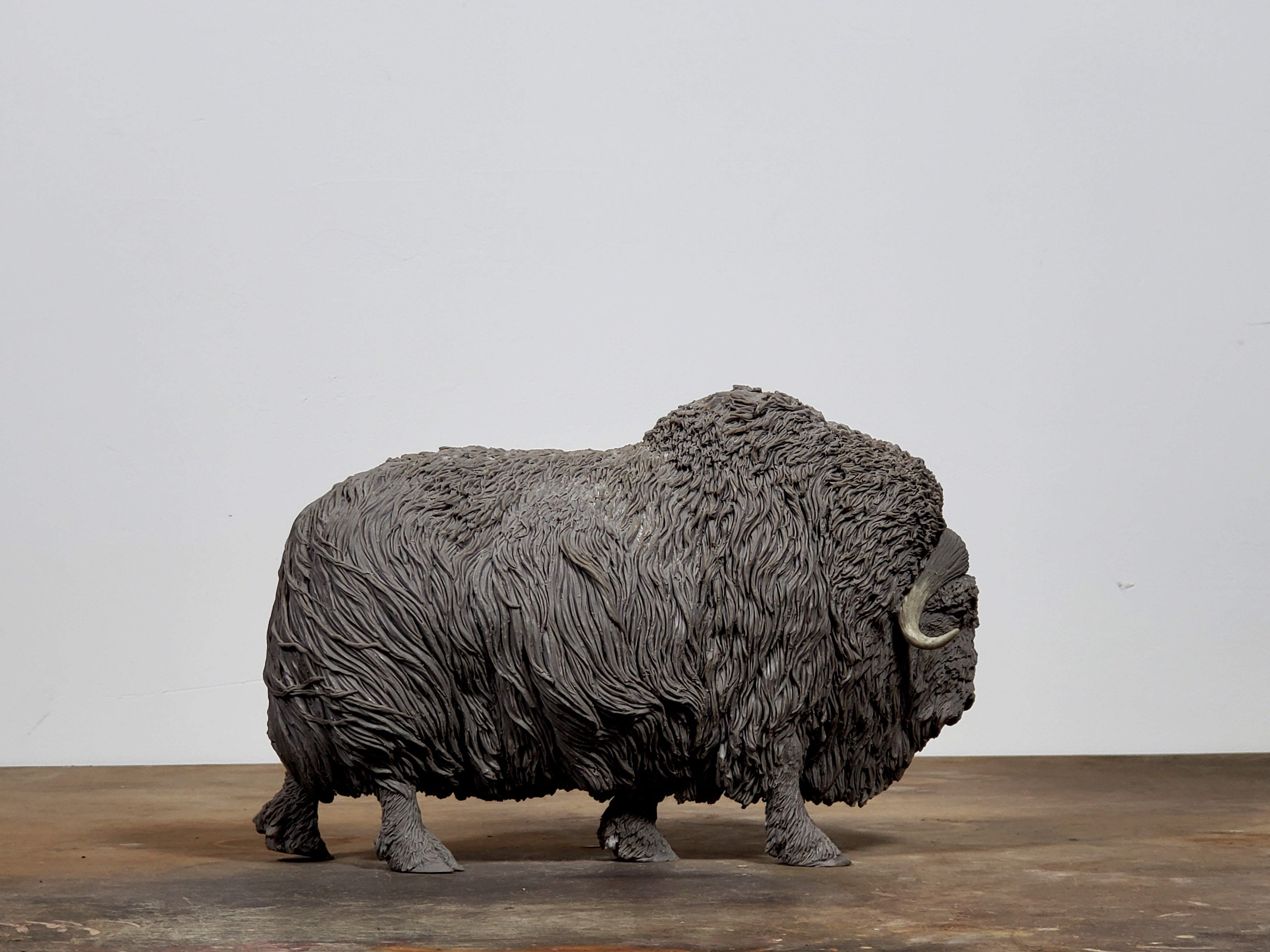 TUNAN Studio 1/10 Scale Muskox Model