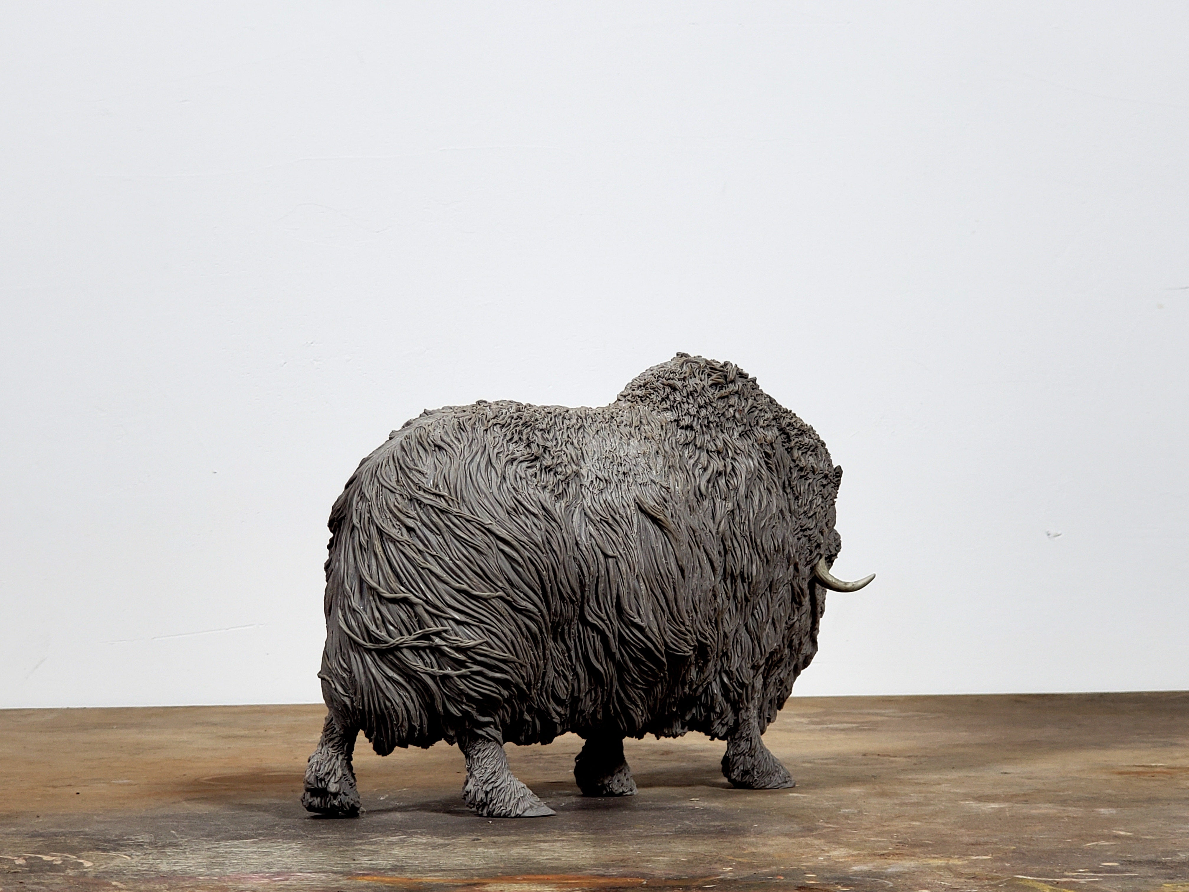 TUNAN Studio 1/10 Scale Muskox Model