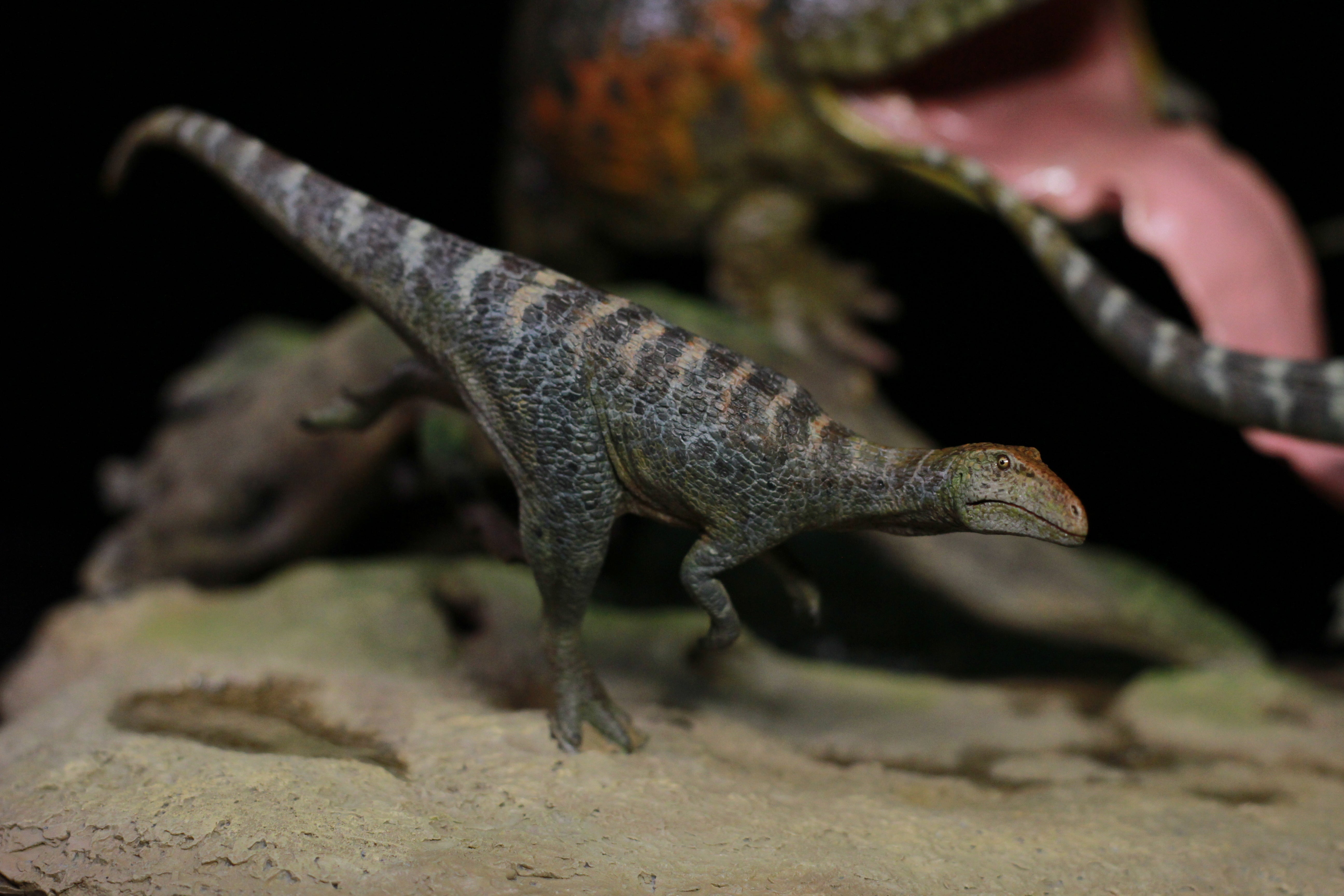 Sensen 1:5 Scale Beelzebufo Masiakasaurus Scene Statue