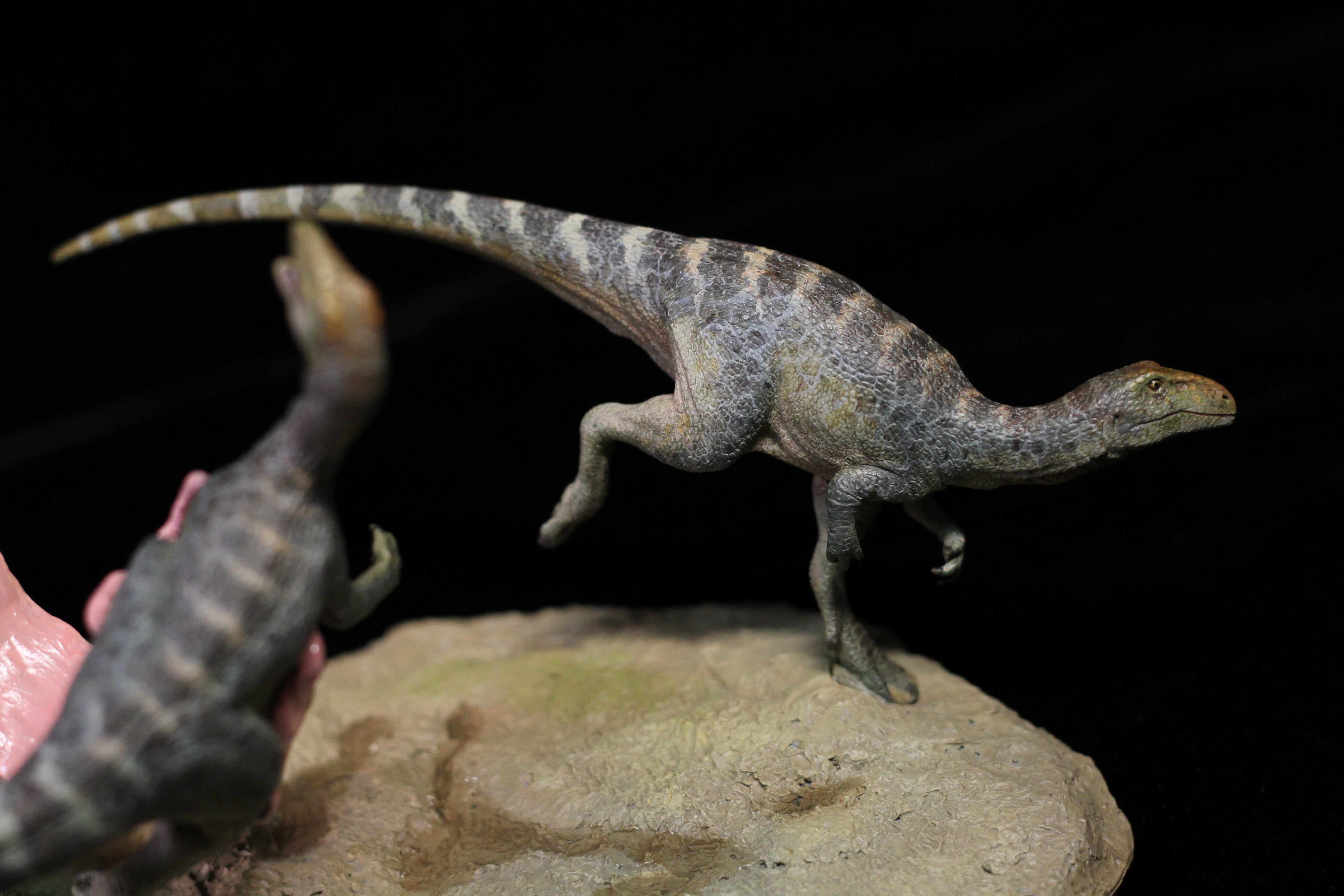 Sensen 1:5 Scale Beelzebufo Masiakasaurus Scene Statue