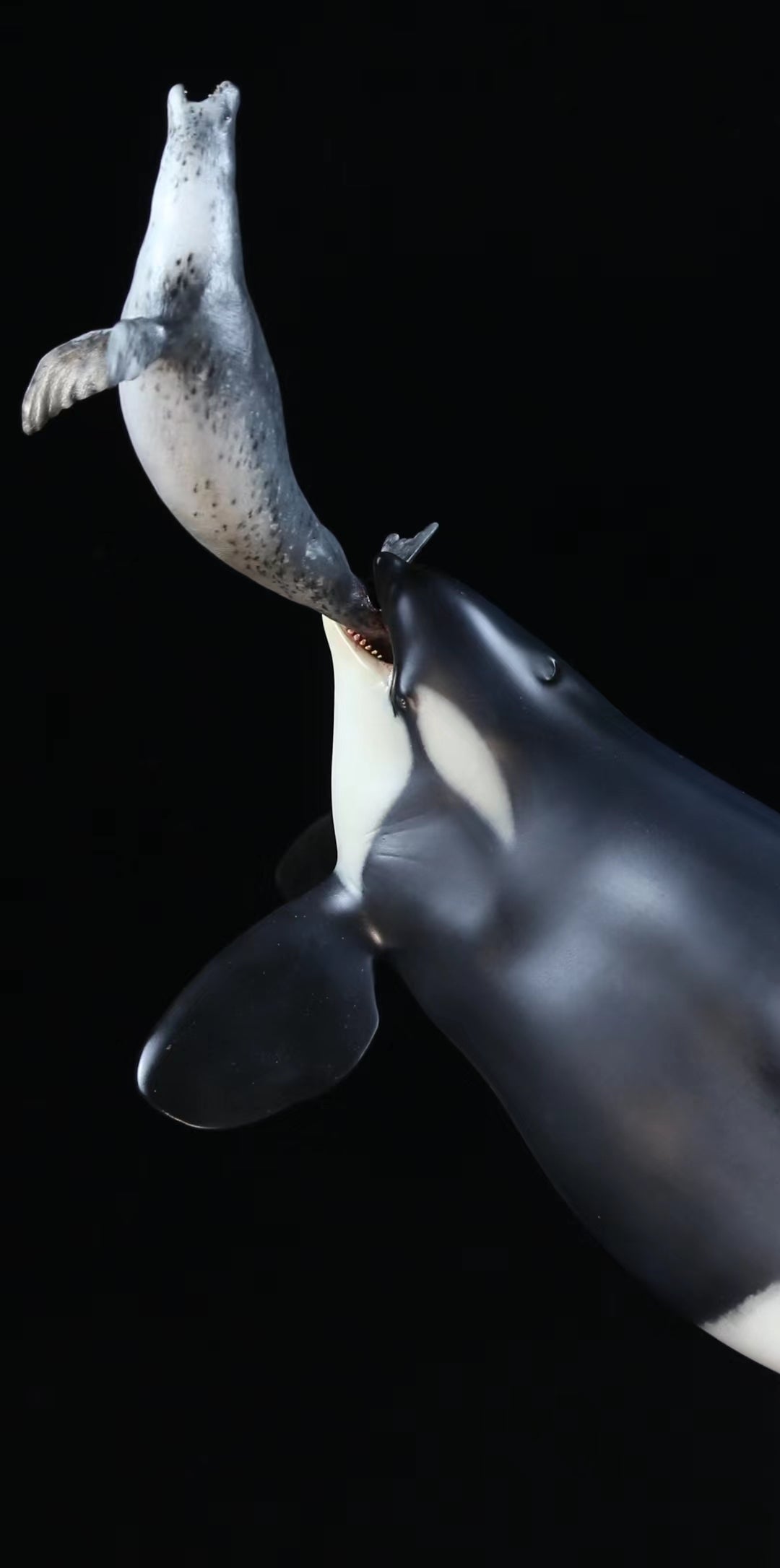 Memory Museum 1/15 Killer Whale Statue