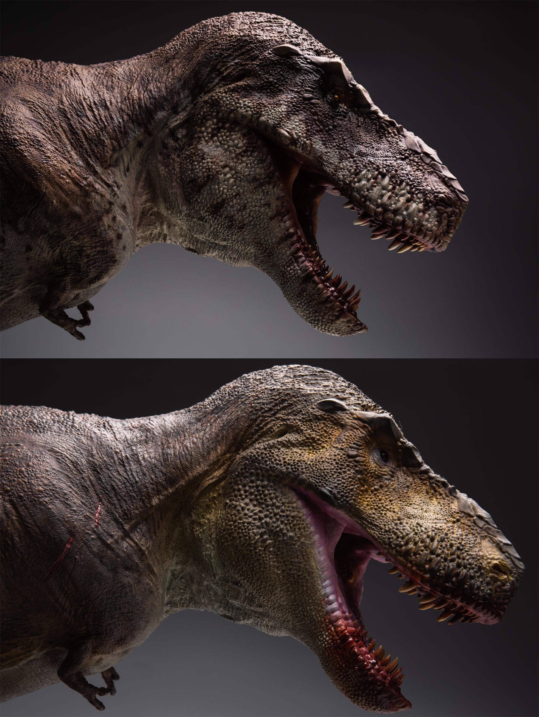 Sing Studio 1:15 Scale Tyrannosaurus Rex Scene Model Kit