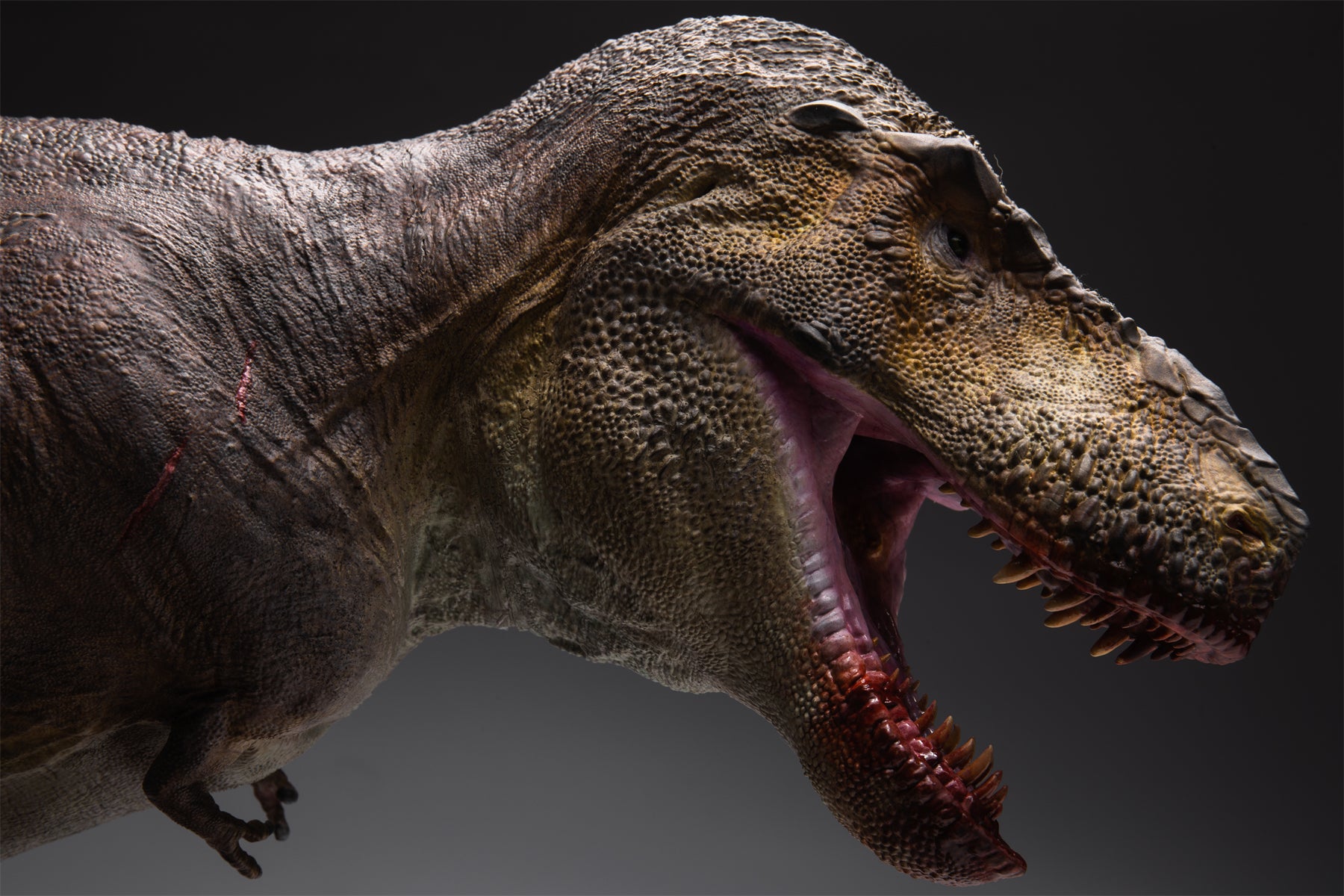 Sing Studio 1:15 Scale Tyrannosaurus Rex Scene Model Kit