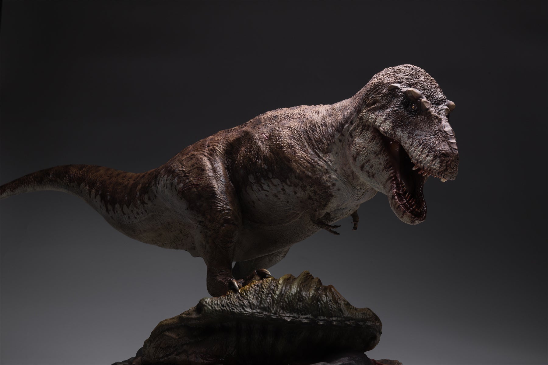 Sing Studio 1:15 Scale Tyrannosaurus Rex Scene Model Kit