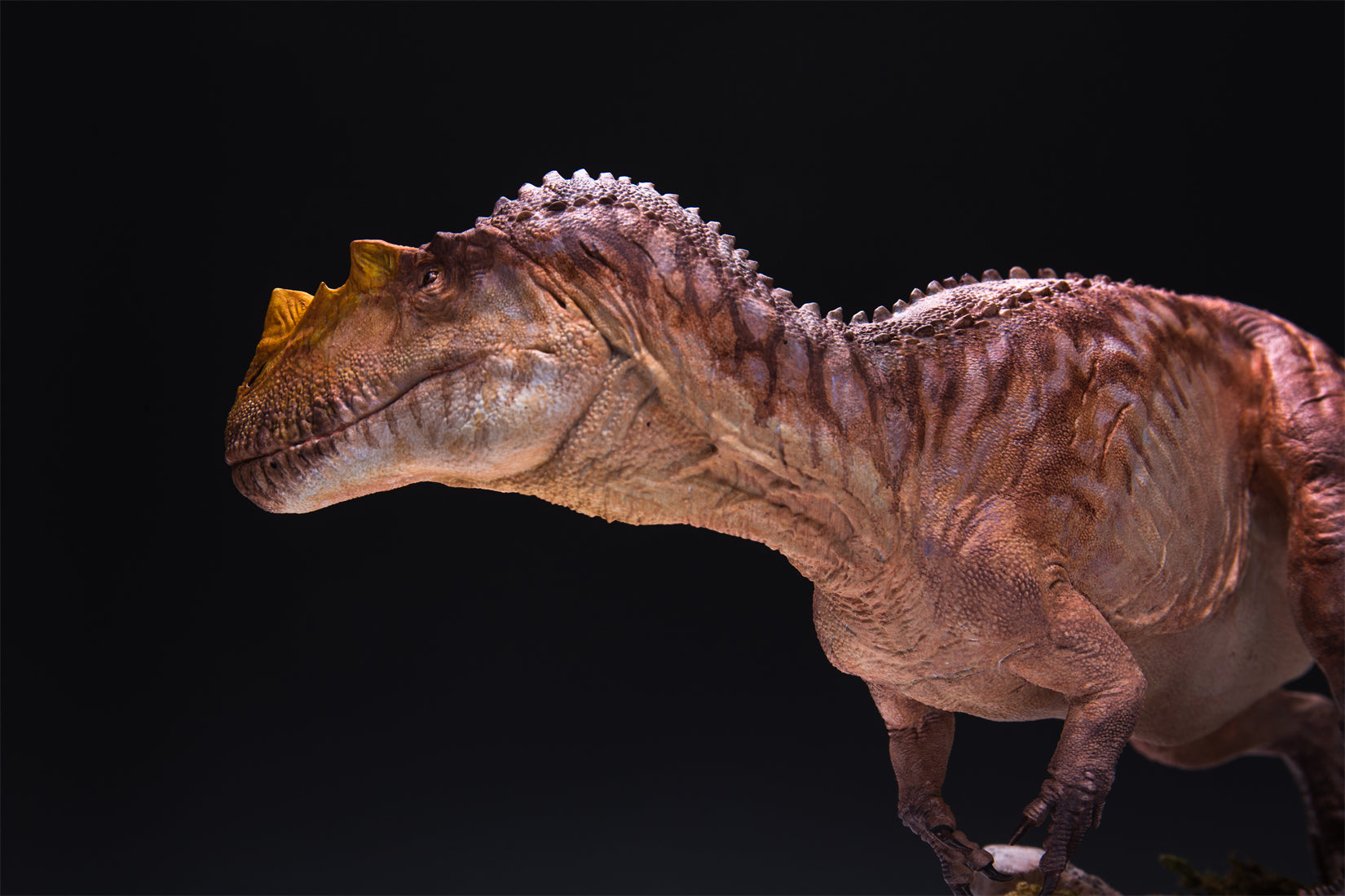 HPH Studio 1:18 Scale Ceratosaurus dentisulcatus Couple Scene Model Kit