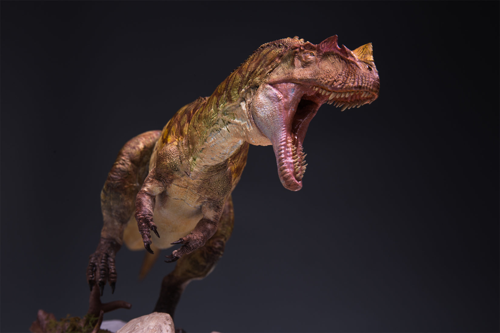 HPH Studio 1:18 Scale Ceratosaurus dentisulcatus Couple Scene Model Kit