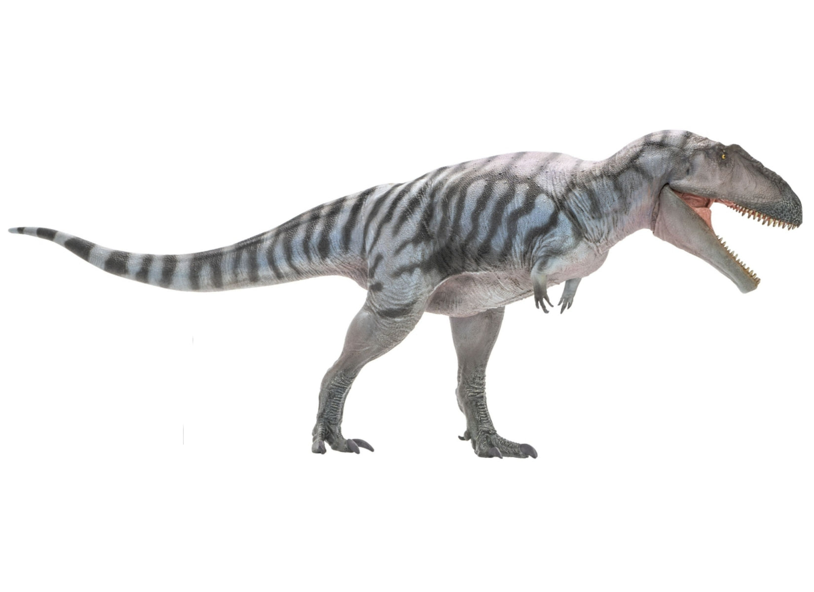 PNSO Meraxes Mungo Model