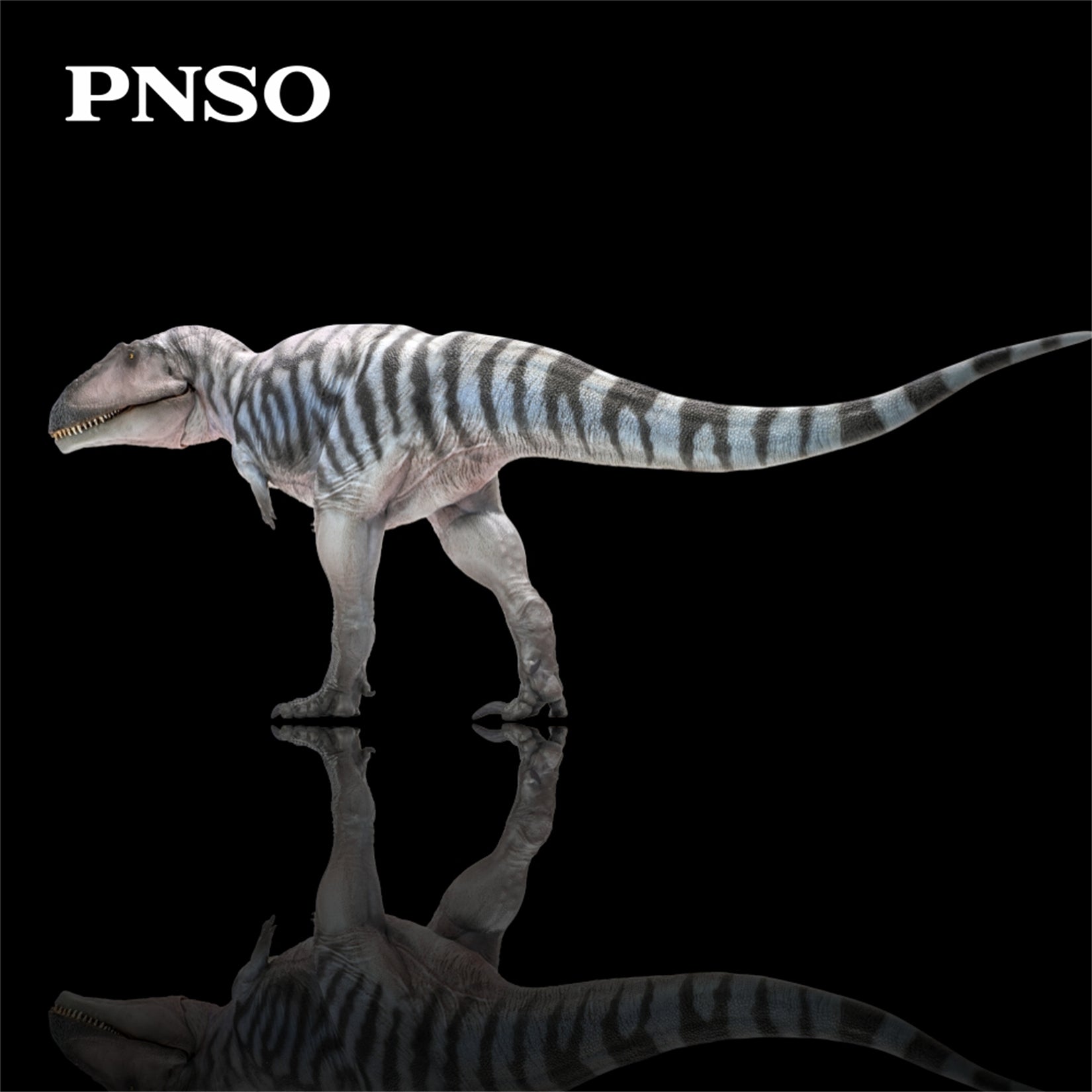 PNSO Meraxes Mungo Model