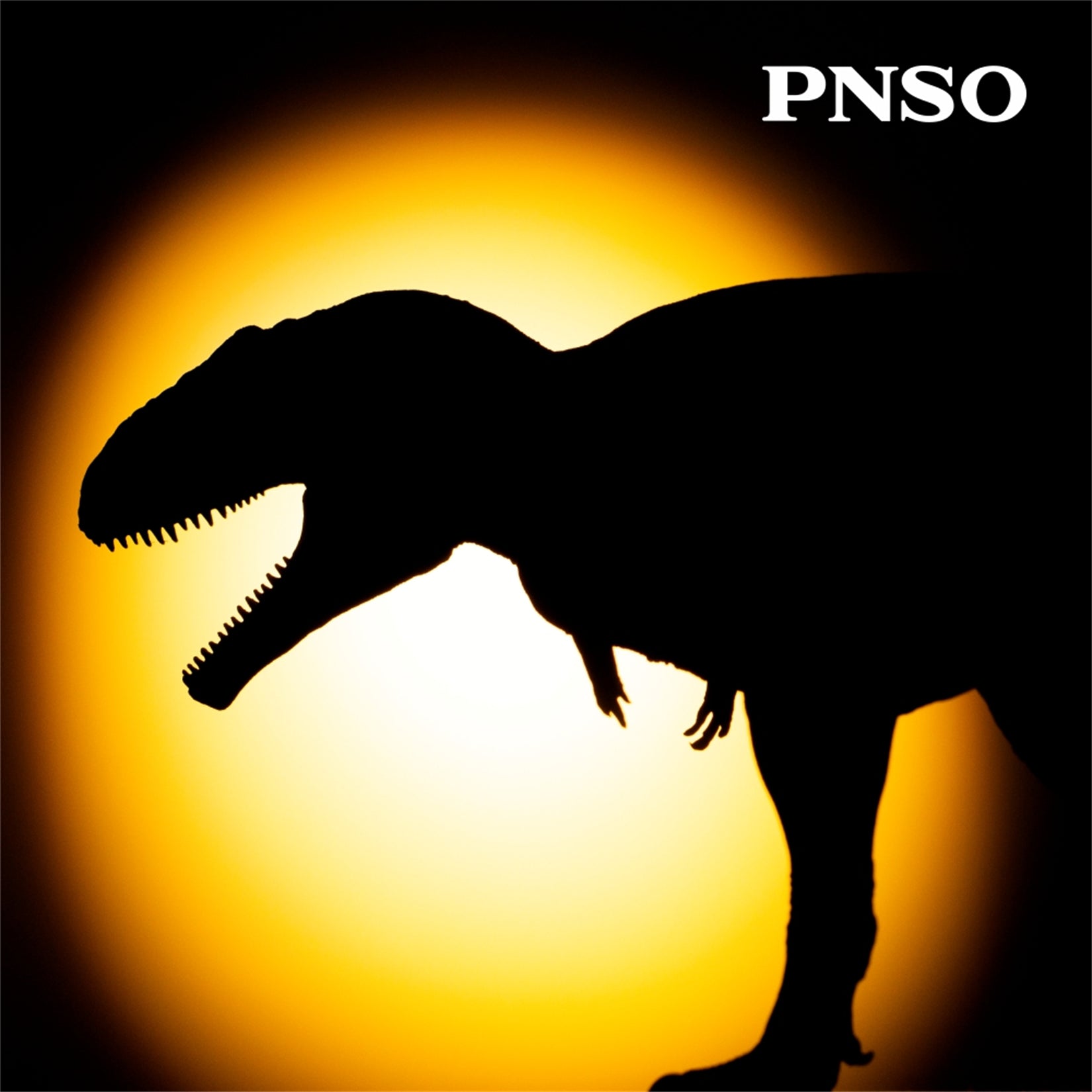 PNSO Meraxes Mungo Model