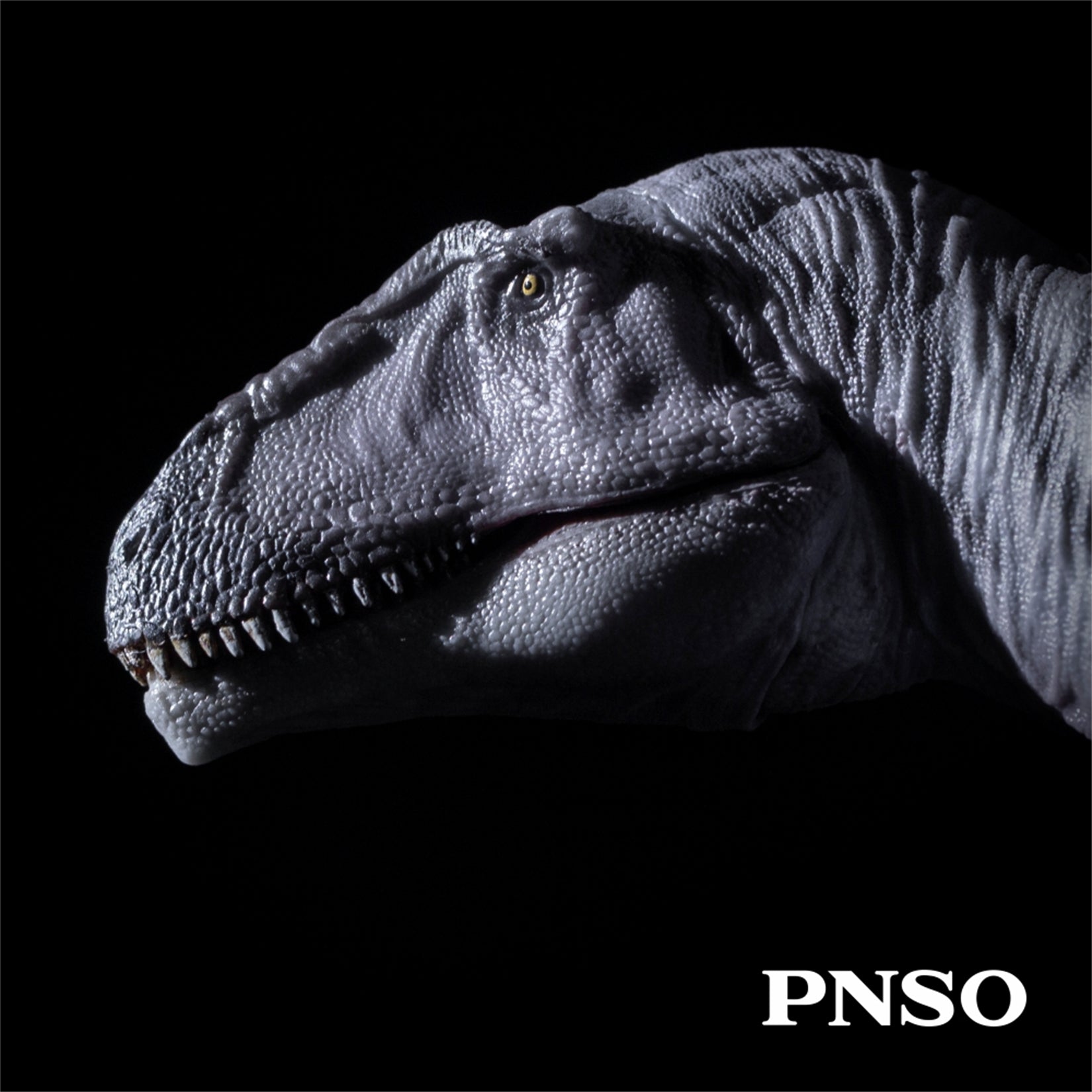 PNSO Meraxes Mungo Model