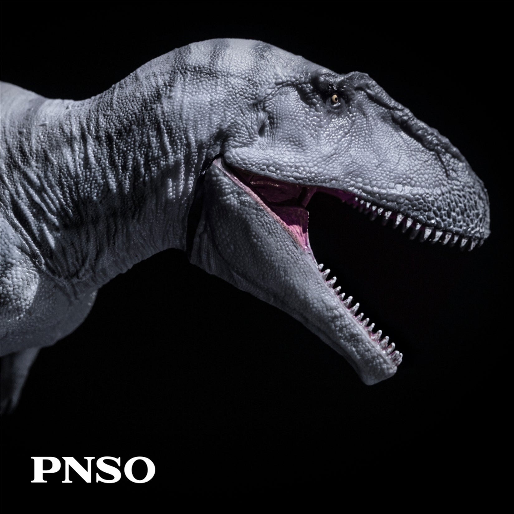 PNSO Meraxes Mungo Model