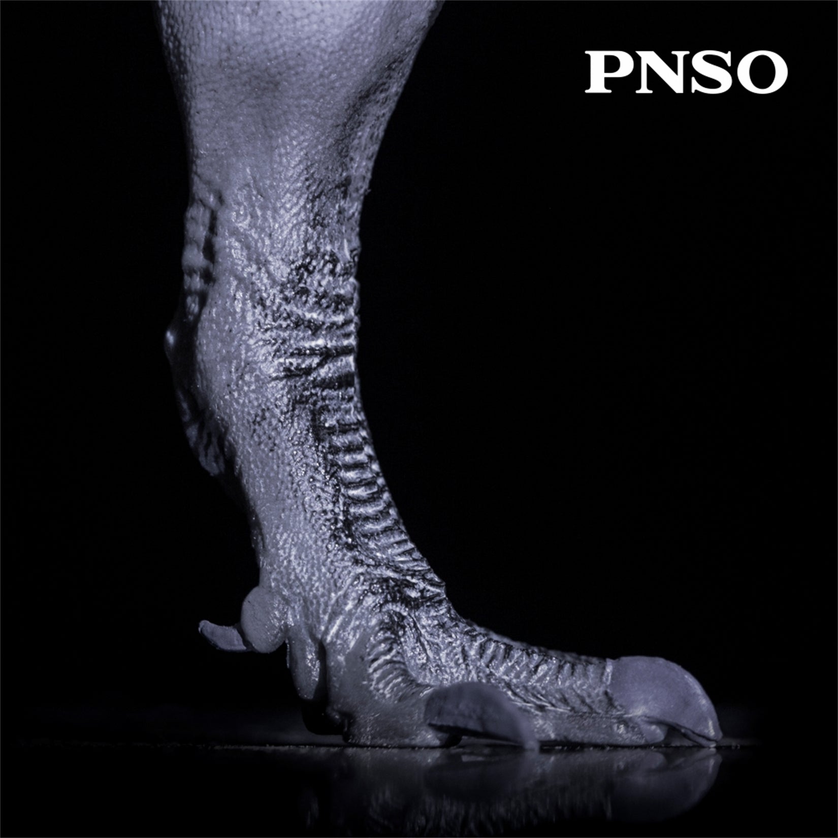 PNSO Meraxes Mungo Model