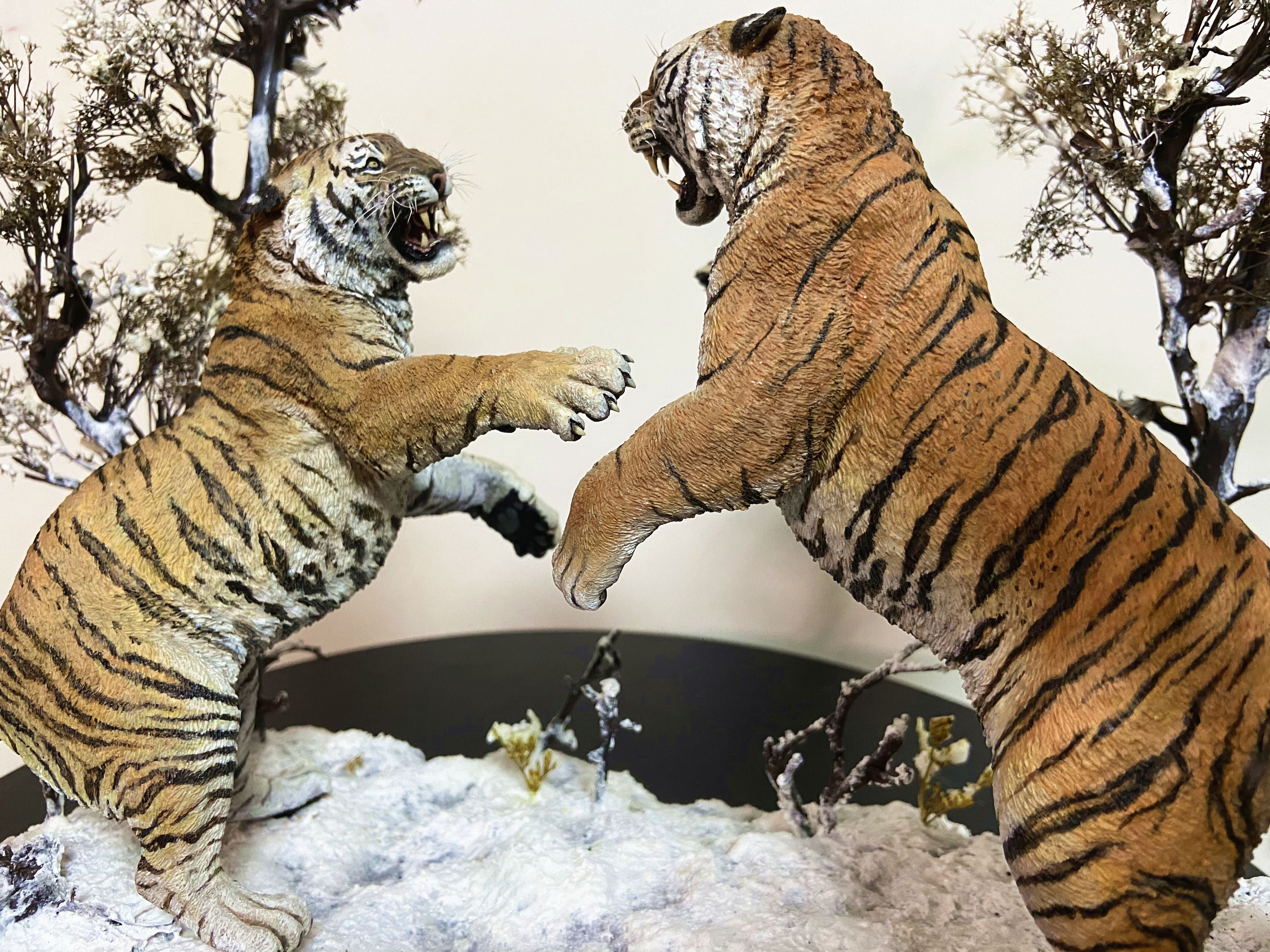 The Battle of Siberia Siberian Tiger Scene Model